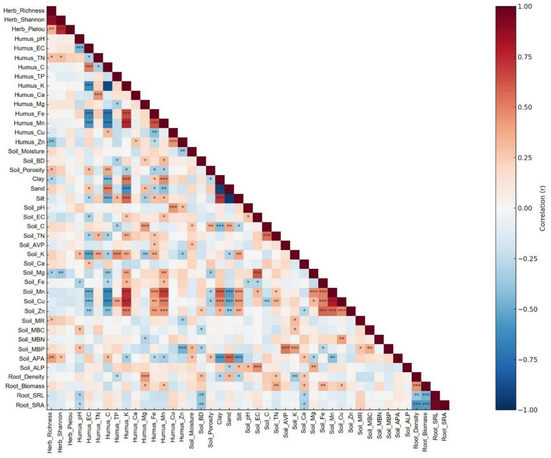 A correlation matrix displays the relationships between various soil, humus, herbaceous layer, and fine root variables, color-coded from blue (negative correlation) to red (positive correlation). The diagonal is dark red, indicating perfect correlation of variables with themselves. Data labels are on both axes, and a color gradient bar on the right illustrates the correlation coefficient scale, ranging from negative one to one.