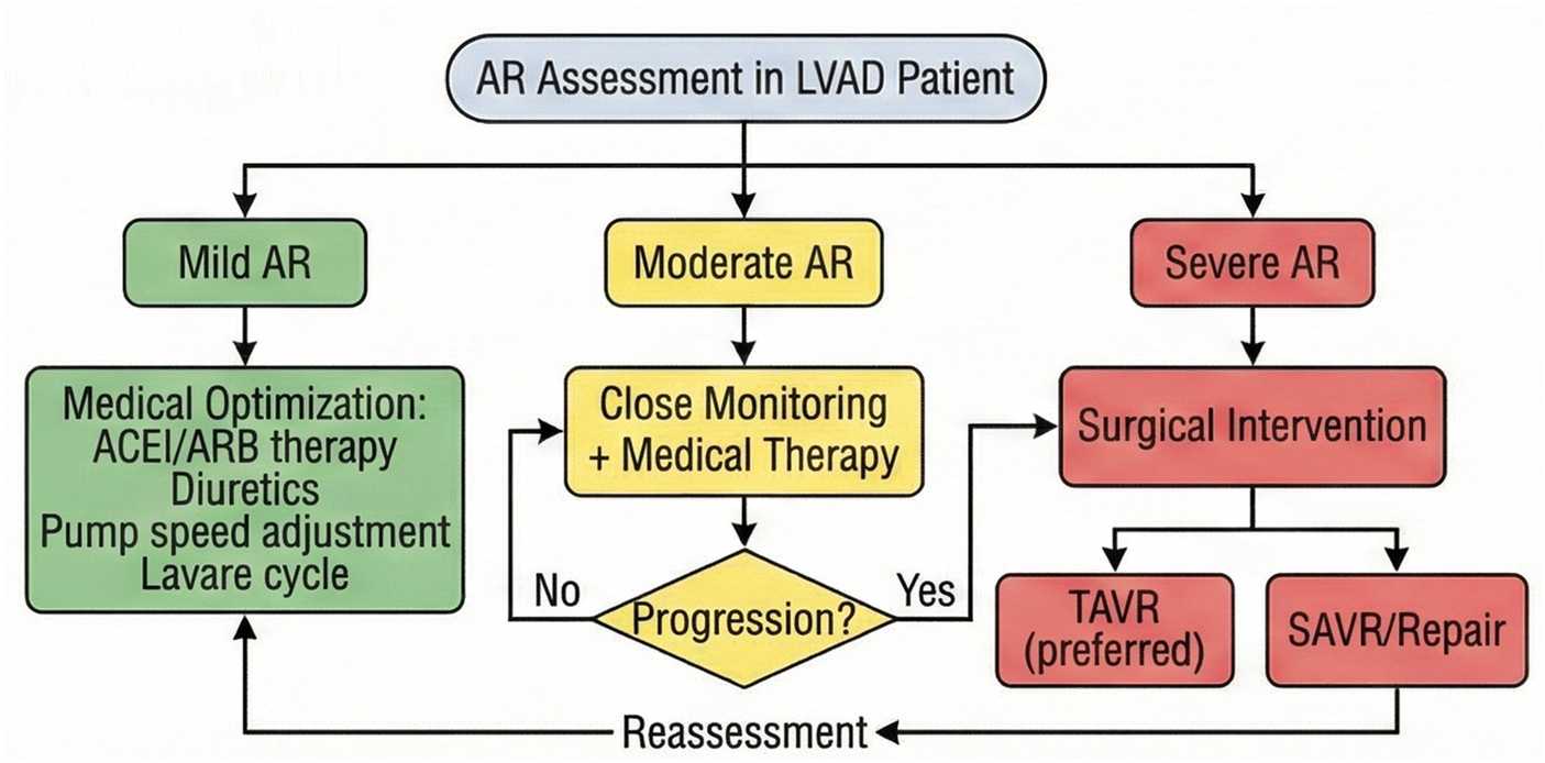 Flowchart of AR assessment in LVAD patients. It categorizes AR into mild, moderate, and severe. Mild AR suggests medical optimization with ACEI/ARB therapy, diuretics, pump speed adjustment, and Lavare cycle. Moderate AR involves close monitoring and medical therapy, with reassessment for progression. Severe AR requires surgical intervention, with options being TAVR (preferred) or SAVR/Repair.