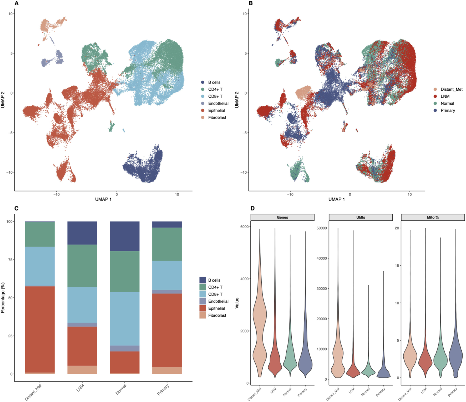 Panel A shows a UMAP plot of different cell types, with colors representing B cells, CD4+ T cells, CD8+ T cells, Endothelial, Epithelial, and Fibroblast. Panel B is a UMAP of conditions: Distant Met, Lymph Node Metastasis, Normal, and Primary, colored accordingly. Panel C is a bar chart displaying the percentage composition of each condition by cell type. Panel D presents violin plots of genes, Unique Molecular Identifiers (UMIs), and mitochondrial percentage across different conditions.