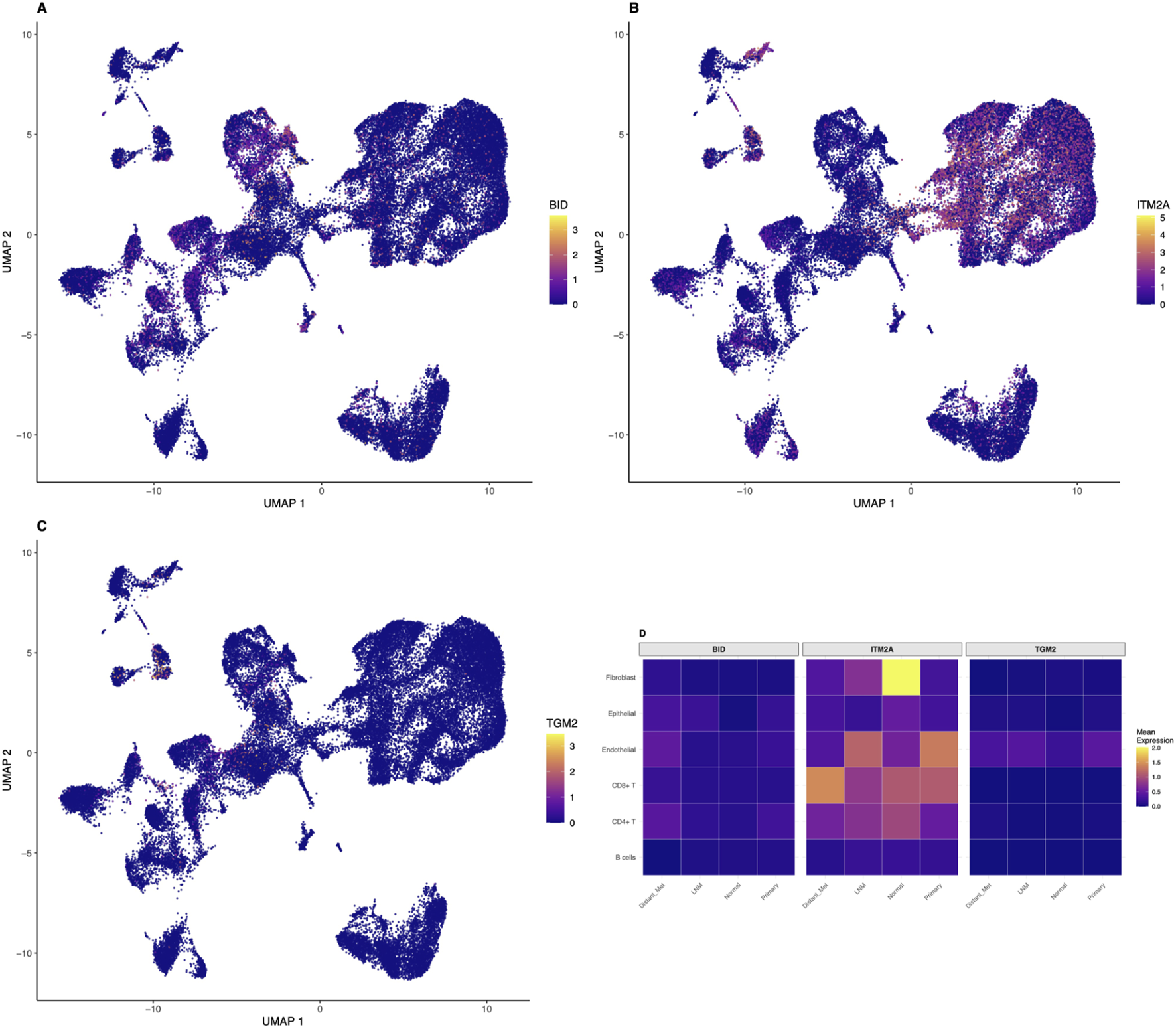 Four-panel figure displaying UMAP plots and a heatmap. Panel A shows BID expression, panel B displays ITM2A, and panel C illustrates TGM2, all with color gradients indicating expression levels. Panel D is a heatmap showing mean expression for BID, ITM2A, and TGM2 across different cell types and conditions, using a blue-yellow color scale.