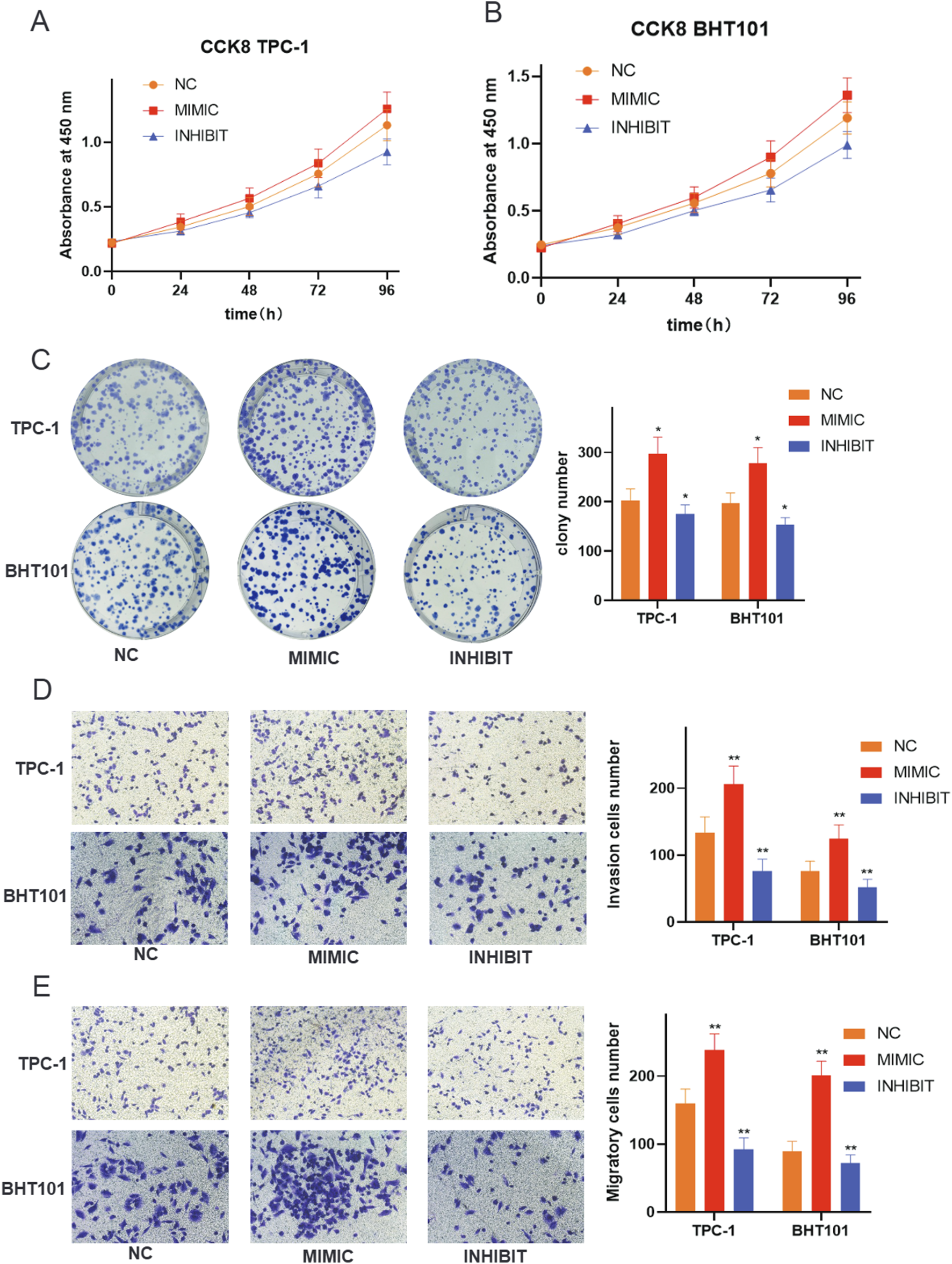 Graphs and images display cell growth, colony formation, invasion, and migration assays comparing NC, MIMIC, and INHIBIT groups in TPC-1 and BHT101 cells. Panels A and B present CCK8 assay growth curves, showing absorbance over time. Panel C displays colony formation results with corresponding bar graph. Panels D and E show cell invasion and migration images with bar graphs quantifying cell numbers. The graphs indicate significant differences among groups, with MIMIC often showing the highest activity.