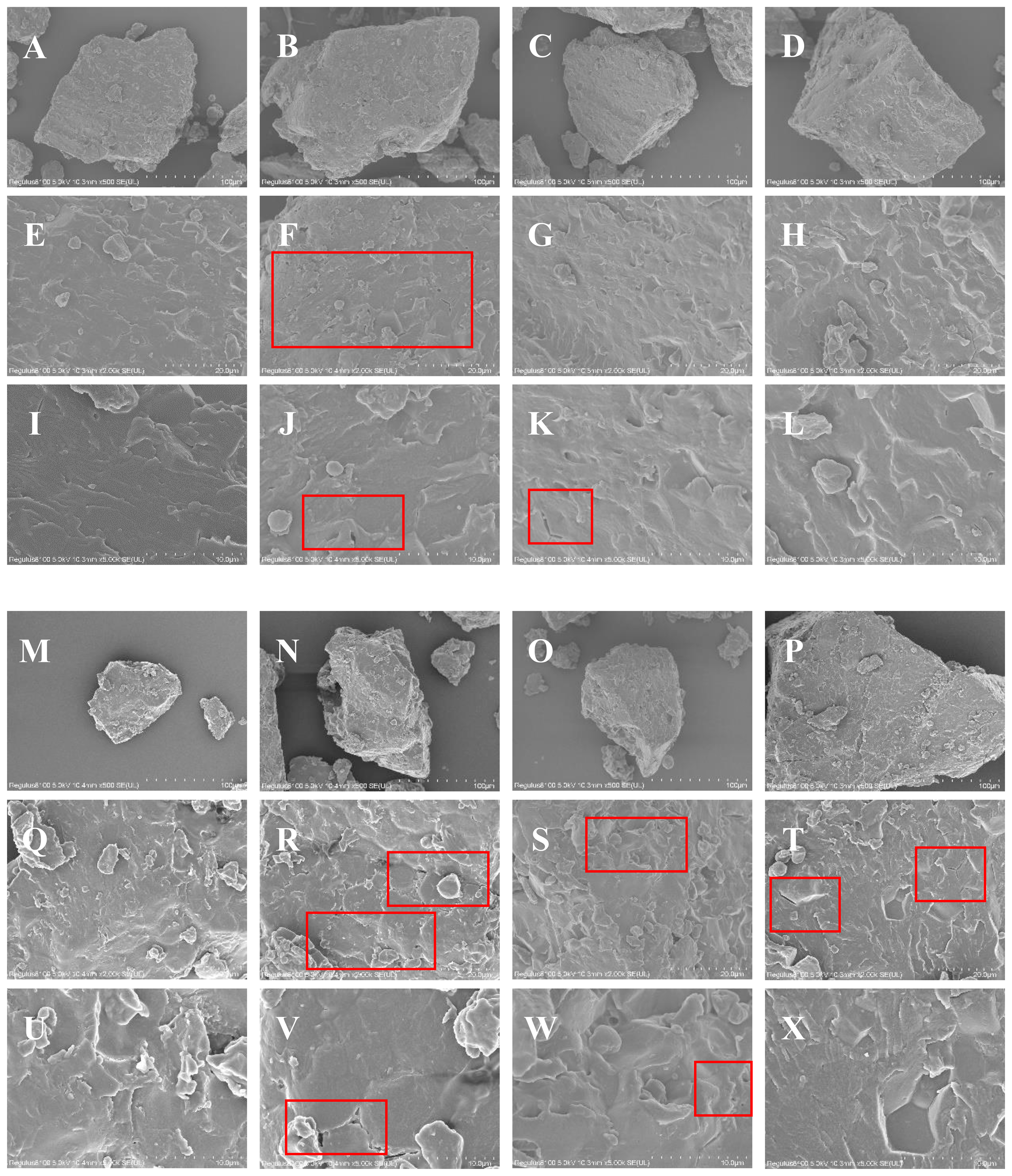 Grid of scanning electron microscope images labeled A to X, showing various close-up textures of surfaces. Some images have red boxes highlighting specific areas. Each panel displays unique surface textures or features, with a scale bar indicating magnification.