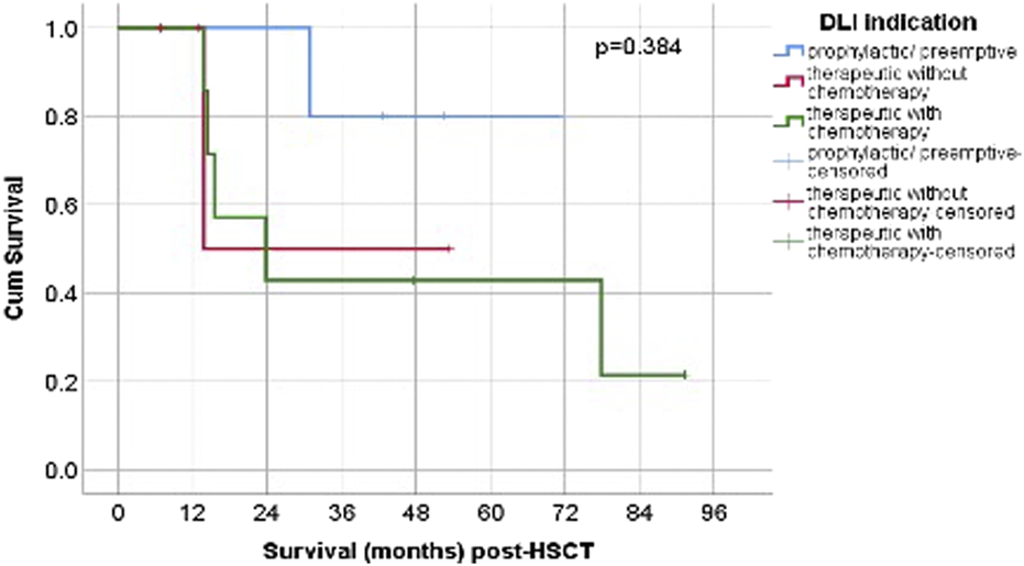 Kaplan-Meier survival curve showing cumulative survival post-hematopoietic stem cell transplantation (HSCT) over 96 months. Three groups are indicated: blue (p/p, no events), red (therapeutic chemo-negative, one event), and green (therapeutic chemo-positive, five events). Censored data points are marked with "+" for each group. The p-value is 0.384.