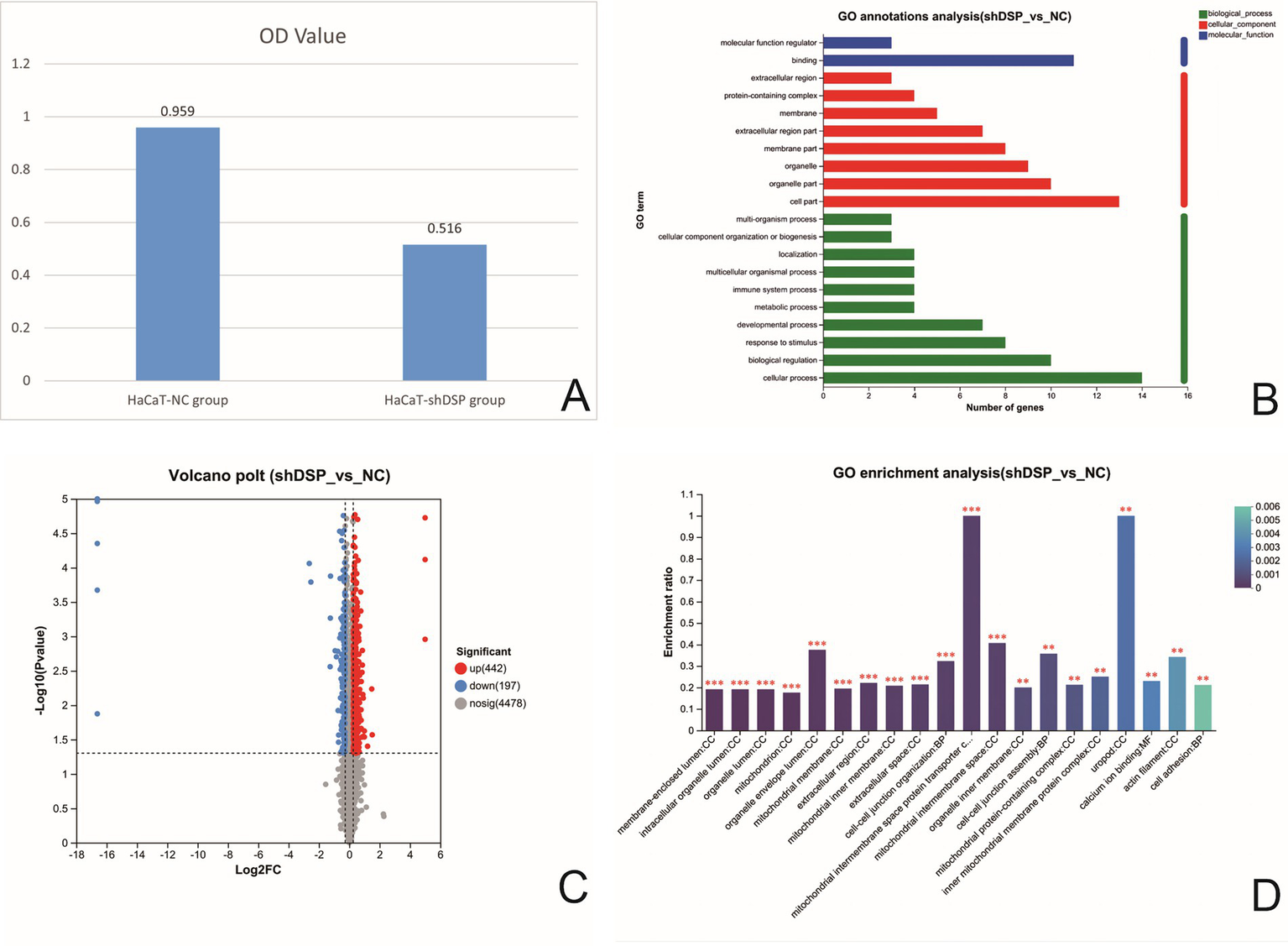 Chart A shows OD values for HaCaT-NC and HaCaT-shDSP groups, with the former higher at 0.959. Chart B illustrates GO annotations for shDSP vs NC across three categories: biological process, cellular component, and molecular function. Chart C presents a volcano plot with significant, upregulated, and downregulated genes labeled. Chart D depicts GO enrichment analysis, highlighting significant enrichment ratios and p-values across biological terms, with several marked as highly significant.