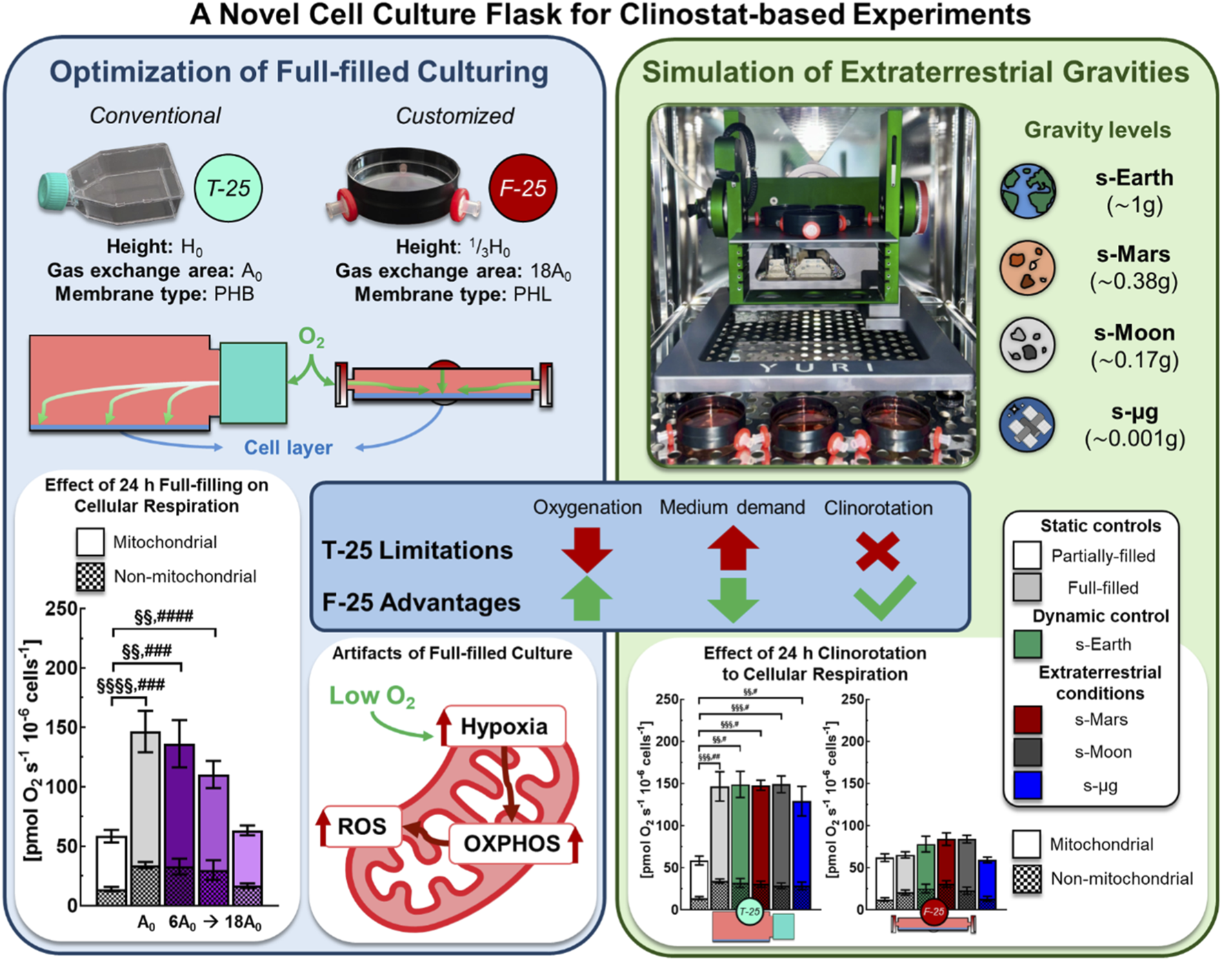 Scientific infographic compares a conventional T-25 flask and a customized F-25 flask for cell culture under clinostat-based simulated gravities, highlighting improvements in oxygenation, reduced hypoxia, and experimental controls for Earth, Mars, Moon, and microgravity levels, supported by respiration and artifact data charts.