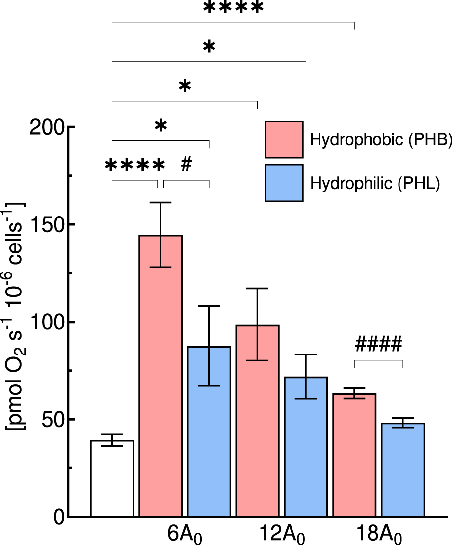 Bar graph comparing oxygen consumption rates of cells cultured in flasks with hydrophobic (PHB, red bars) or hydrophilic (PHL, blue bars) gas exchange areas (6, 12, and 18A0). PHB group shows higher rates at 6 and 18A0 and significant differences denoted by symbols. Error bars represent standard error. Legend identifies color coding for PHB and PHL. Y-axis labeled as oxygen consumption per million cells per second.
