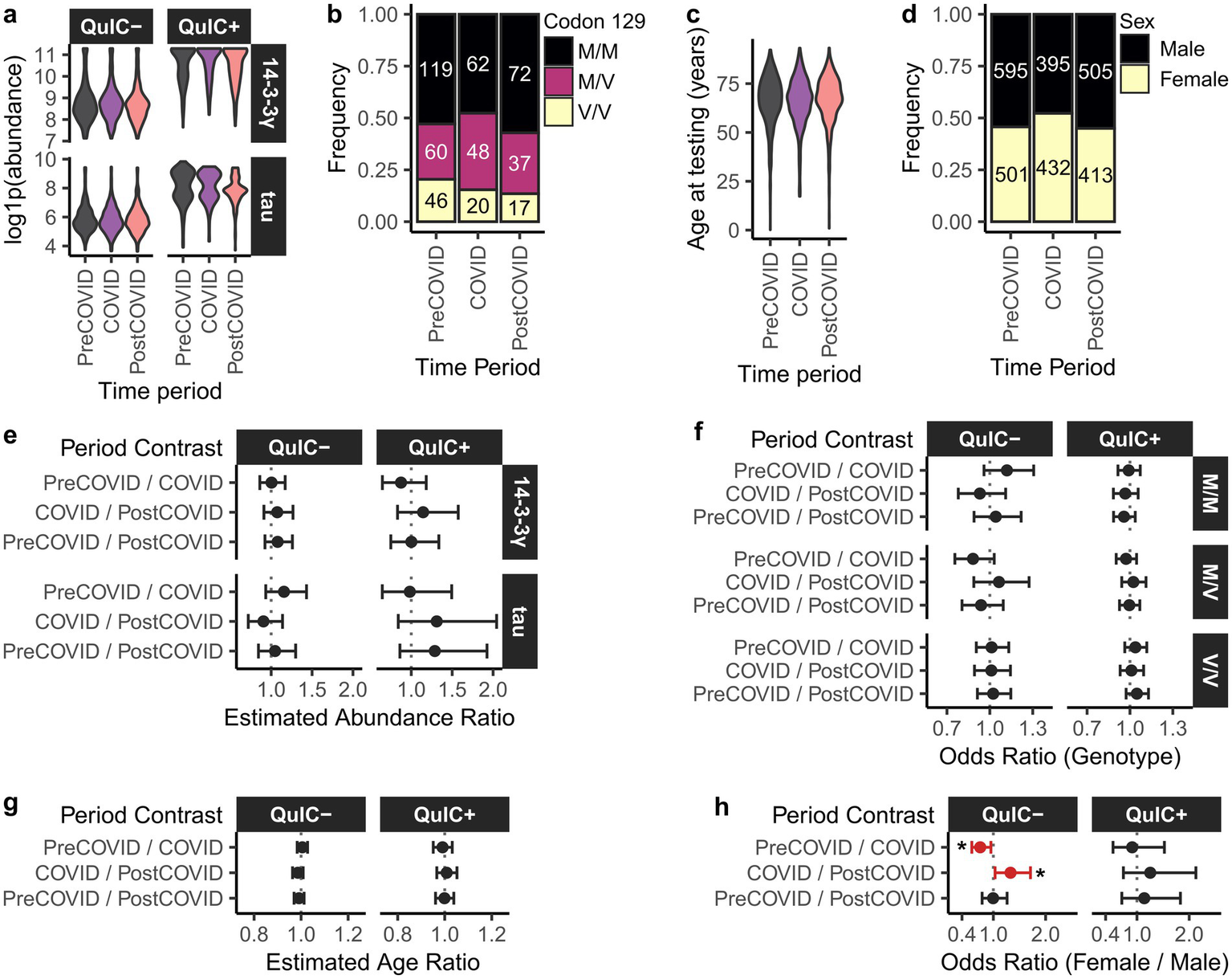 Visualizations compare various metadata associated with QuIC-tested individuals. Panels a, b, c, and d are separated into pre-COVID, COVID, and post-COVID time periods. Panel a shows violin plots of log-transformed biomarker abundances for QuIC-positive and QuIC-negative individuals. Panel b displays codon 129 frequency. Panel c shows age distribution at testing. Panel d illustrates frequency of males and females. Panels e, f, g, and h show pairwise comparisons between time periods separately for QuIC-positive and QuIC-negative subsets. Panel e shows estimated biomarker abundance ratios. Panel f presents odds ratios for codon-129 genotypes. Panel g shows estimated age ratios, and panel h presents odds ratios for biological sex.