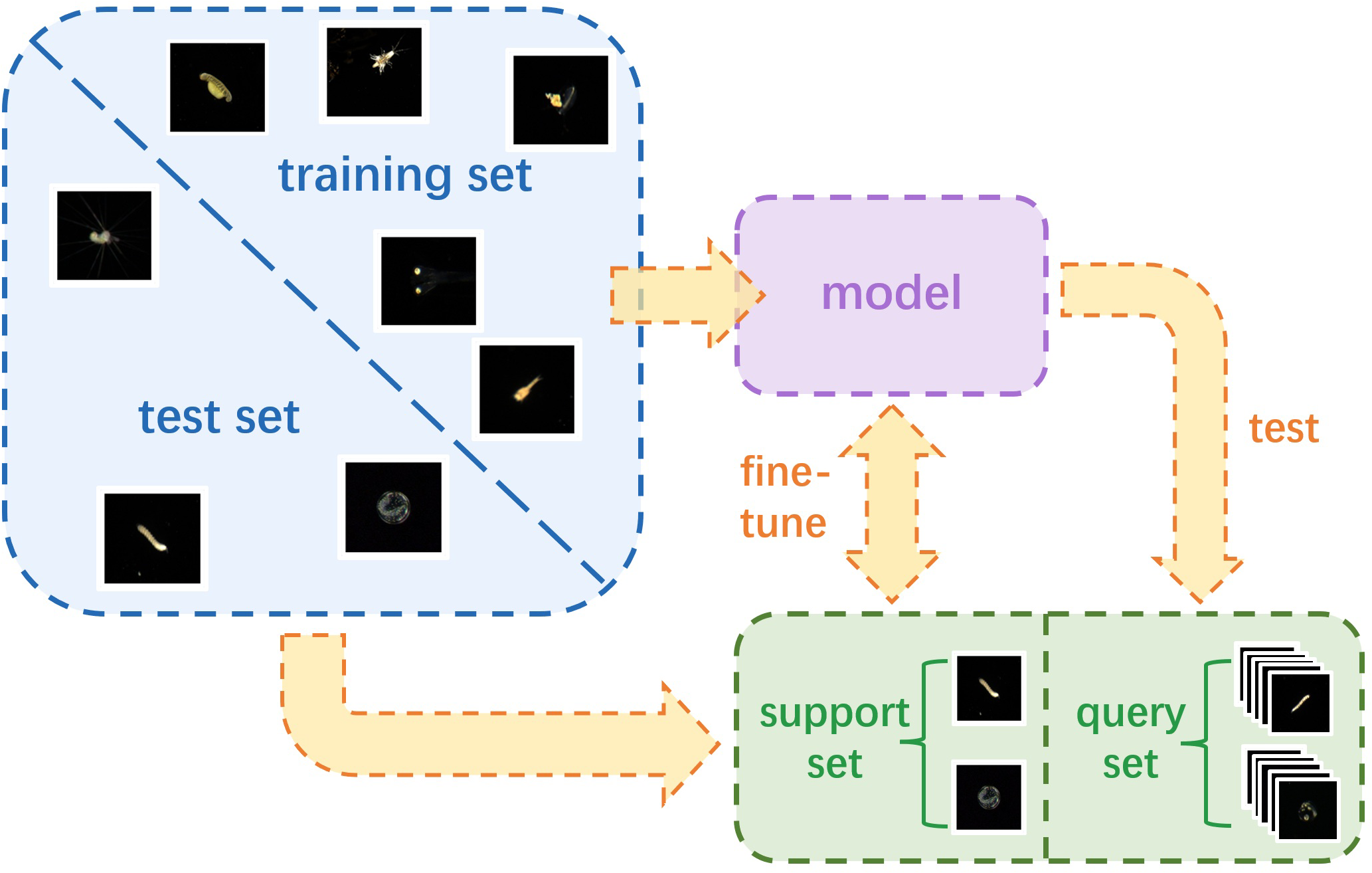 Diagram illustrating a machine learning model process. The top left shows a dataset divided into training and test sets. The model receives input from the training set and outputs to a test set, which further connects to support and query sets. Arrows indicate processes of testing, fine-tuning, and data flow between components.