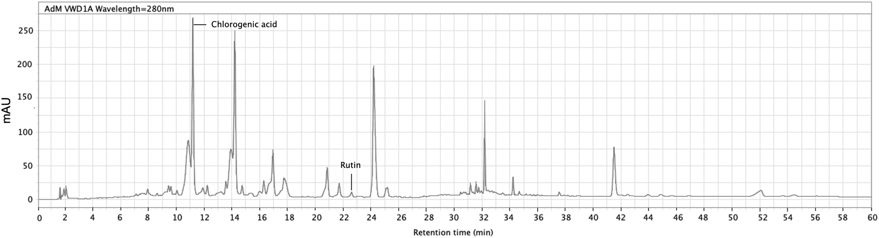 Chromatogram depicting absorbance at 280 nanometers over a retention time of sixty minutes. Peaks labeled for chlorogenic acid around twelve minutes and rutin around twenty-four minutes. Peaks are measured in milli absorbance units (mAU).