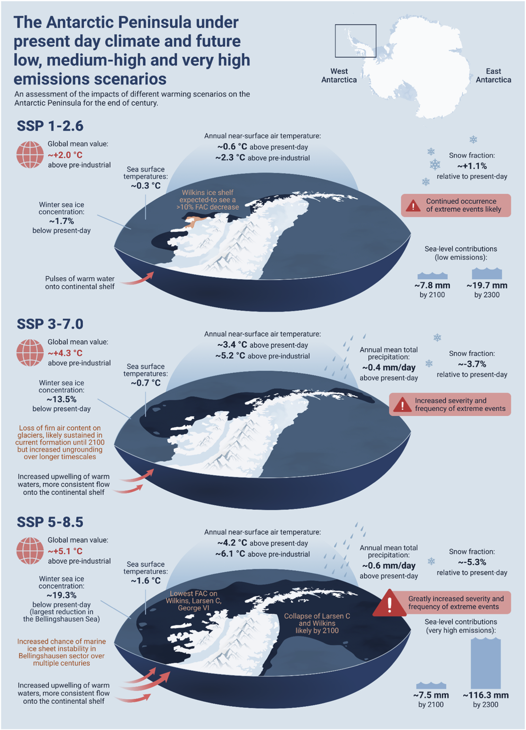 Infographic depicting climate change impacts on the Antarctic Peninsula under three scenarios: SSP 1-2.6, SSP 3-7.0, and SSP 5-8.5. SSP 1-2.6 shows moderate warming, reduced sea ice, and a slight sea-level contribution, with extreme events likely. SSP 3-7.0 indicates higher warming, significant sea ice decline, increased upwelling, and severe extreme events. SSP 5-8.5 projects the highest warming, drastic sea ice reduction, marine ice sheet instability, and greatly increased extreme events, with major sea-level rise by 2300. Each scenario visualizes air and sea temperature changes, snow fraction, and environmental effects.