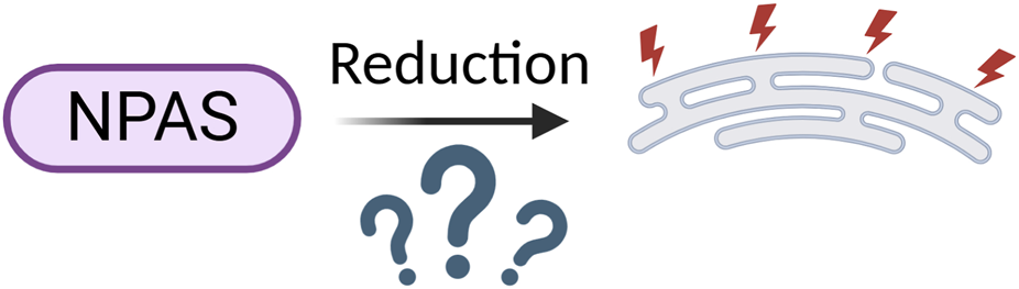 NPAS acronym inside a purple oval with an arrow labeled "Reduction" pointing to a structure with question marks below it. The structure has red lightning bolt symbols above it.