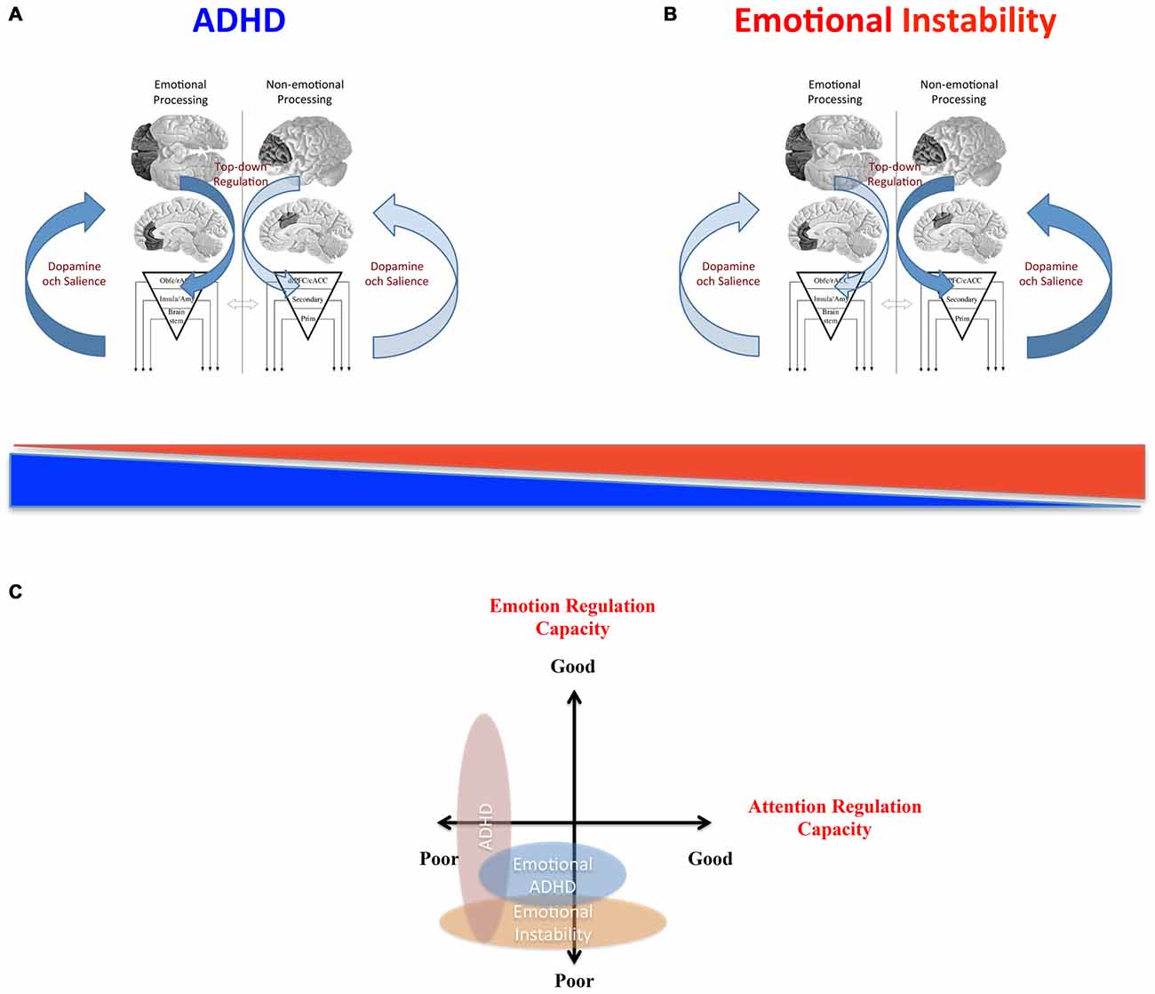 Frontiers Top Down Dysregulation From Adhd To Emotional Instability Behavioral Neuroscience