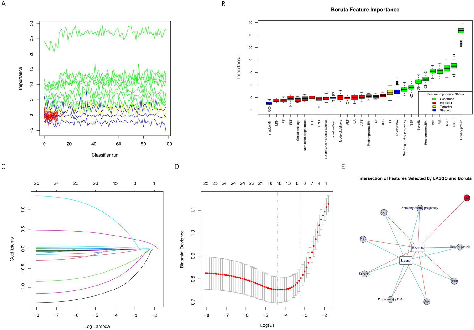 Panel A shows a line graph depicting classifier run importance with varying levels. Panel B displays a Boruta feature importance bar chart with confirmed, rejected, and tentative status indicators. Panel C presents a line graph of coefficients against log lambda for various features, indicating their strength and direction. Panel D shows a plot of binomial deviance against log lambda with error bars. Panel E illustrates a diagram showing the intersection of features selected by LASSO and Boruta, highlighting common features such as smoking during pregnancy and uric protein.