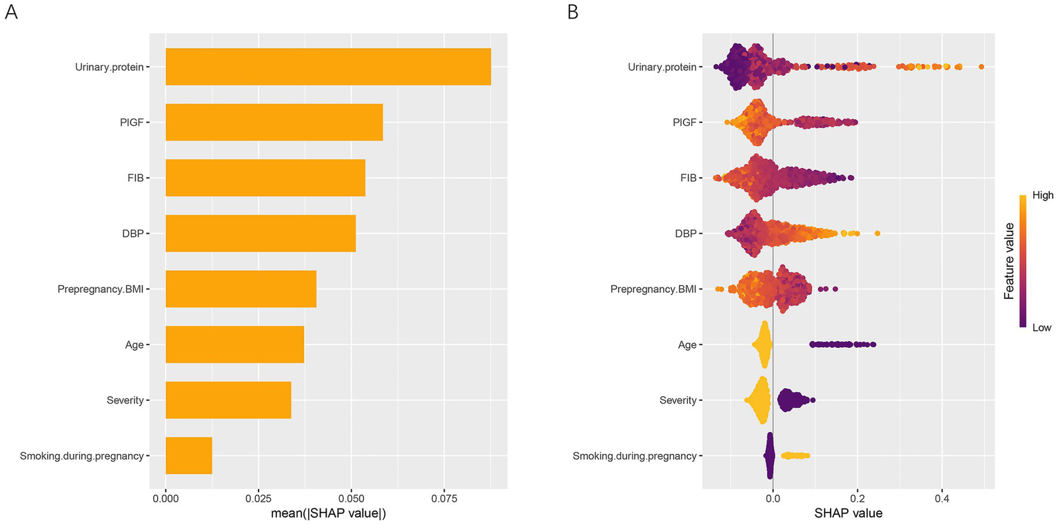 Bar chart and scatter plot comparing features based on SHAP values. Panel A shows a horizontal bar chart with urinary protein, PlGF, FIB, and others ranked by mean SHAP value. Panel B displays a scatter plot with the same features, showing distribution variations in SHAP values influenced by feature value, color-coded from high (orange) to low (purple).
