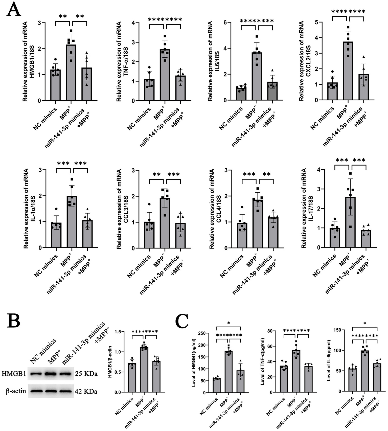 Bar graphs and Western blot showing the effects of miR-141-3p mimics and MPP+ on mRNA expression and protein levels. Part A shows relative expression of mRNA markers (Hmgb1, TNF-α, Lcn2, Cxcl2, IL-1β, CCL2, CCL4, IL-17) with significance indicated by asterisks. Part B displays a Western blot of HMGB1 and β-actin, with bar graph analysis. Part C includes bar graphs of HMGB1, TNF-α, and IL-6 protein levels, with significance indicated. Data include error bars and different treatments: NC mimics, MPP+, miR-141-3p mimics, and mimics with MPP+.