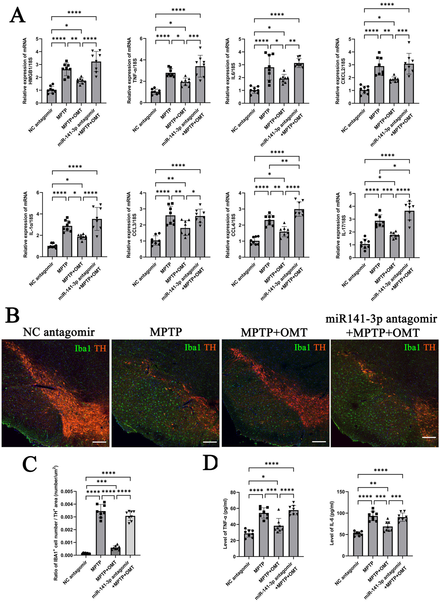Figure 6A displays bar graphs depicting the relative expression of mRNA across different treatment groups with statistical significance indicated. Figure 6B shows fluorescent images of brain tissue sections stained with Iba1 and TH under different treatments. Figure 6C presents a bar graph of the ratio of Iba1-positive cells in TH-positive areas, with statistical analyses. Figure 6D illustrates bar graphs of TNF-alpha and IL-6 levels in various treatment groups, displaying statistical significance.