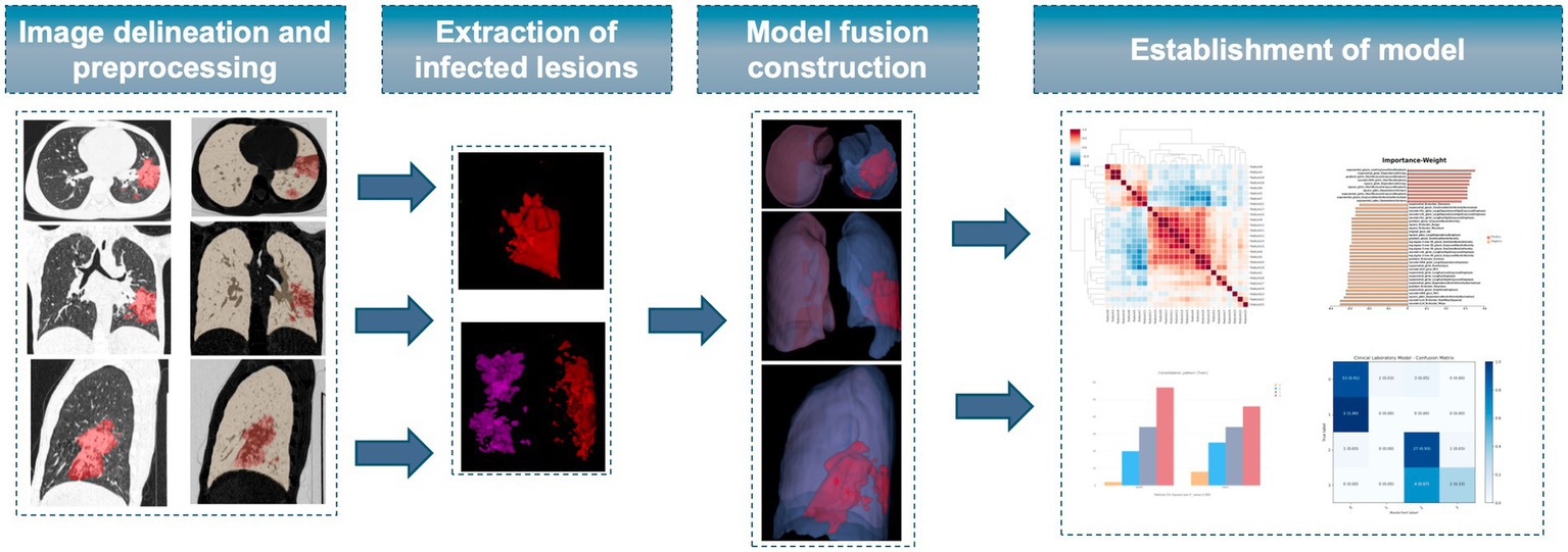 Flowchart of a medical imaging process. The first step involves image delineation and preprocessing with CT scans highlighting lesions in red. The second step illustrates the extraction of infected lesions in red and purple. The third step shows model fusion construction with different 3D representations of lungs. The final step involves model establishment with visual data including a heatmap, bar chart, and confusion matrix.
