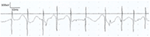www.frontiersin.org