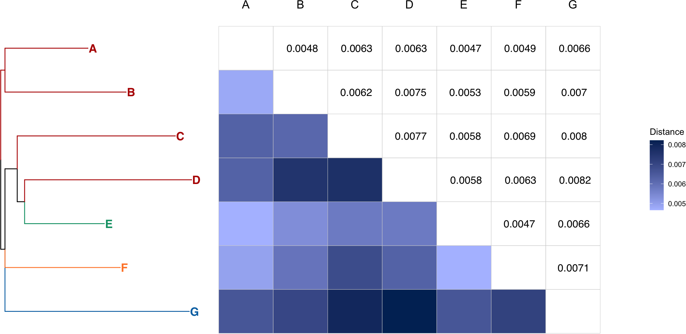 A phylogenetic tree on the left shows hierarchical clustering of seven taxa labeled A to G. The distance matrix on the right uses a blue gradient, with darker shades representing greater distances. The distances range from 0.0047 to 0.0082, as indicated by the scale.