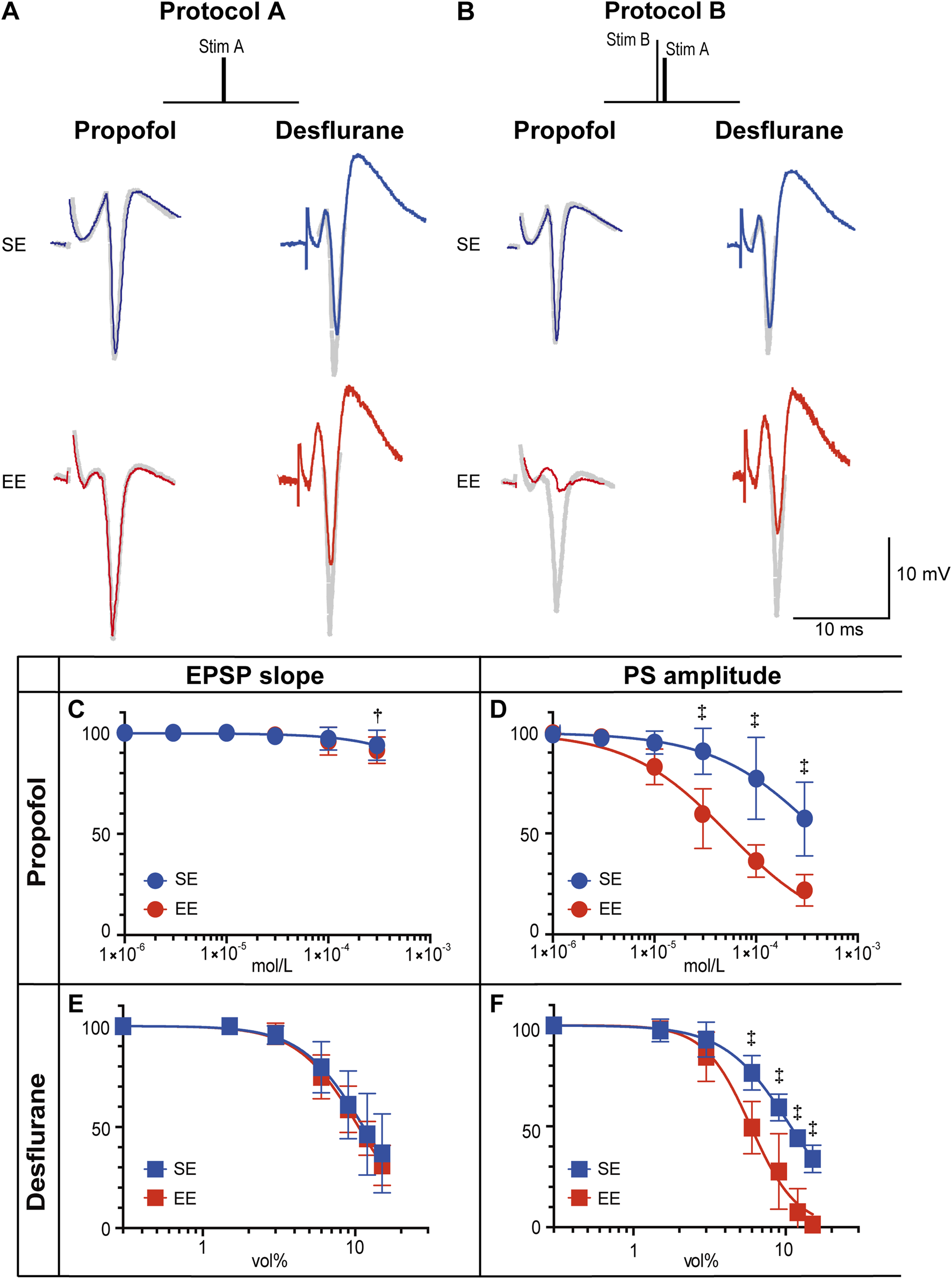 Graphs and waveforms show the effects of propofol and desflurane under two protocols. Panels A and B display waveforms with stimulations SE and EE; C and D graph EPSP slope and PS amplitude for propofol; E and F for desflurane. Measurements are quantified in mol/L and vol% with symbols indicating significant differences.