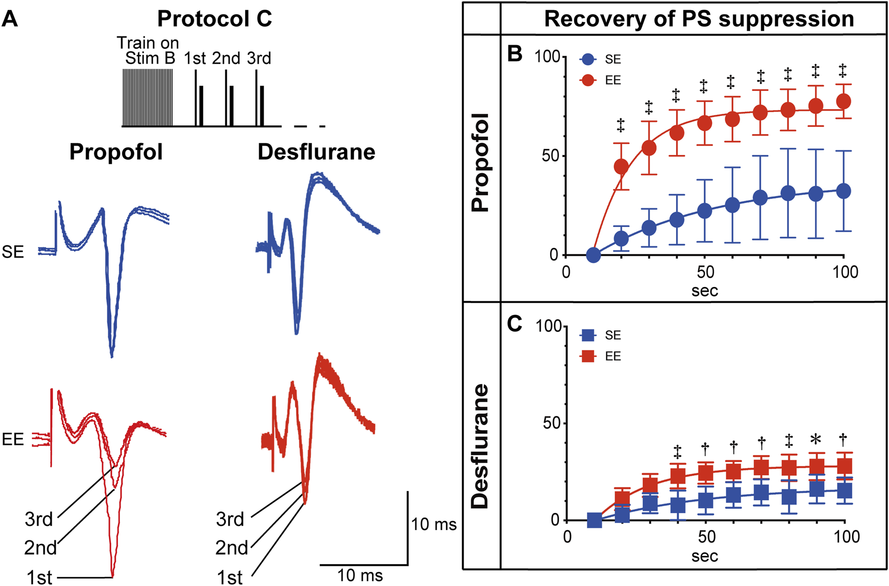 Graphs depict the recovery of population spike (PS) suppression under propofol and desflurane using Protocol C. Panel A shows traces of PS for standard environment (SE) and enriched environment (EE) conditions. Panels B and C present line graphs comparing SE and EE recovery over time in seconds, with EE showing a faster recovery rate than SE for both anesthetics. Propofol graphs use circles, while desflurane uses squares. The x-axes represent time, and the y-axes show recovery as a percentage.