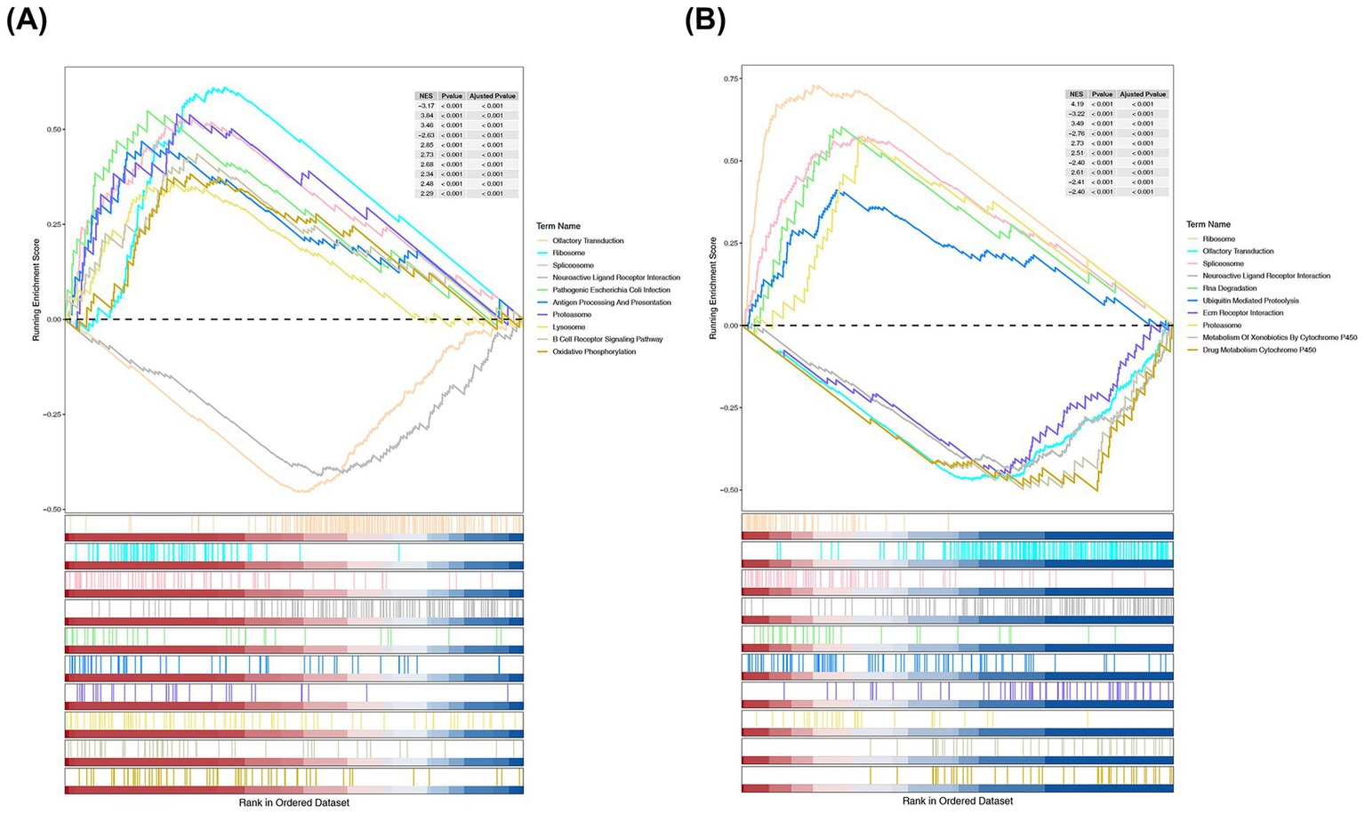 Two enrichment score plots labeled A and B show data analyses with lines representing different biological terms. The x-axis shows the rank in an ordered dataset, and the y-axis represents the running enrichment score. Both plots contain tables showing normalized enrichment scores, p-values, and adjusted p-values. Below each graph, colored bars represent corresponding biological terms. The legend next to each plot describes the terms with corresponding colors.