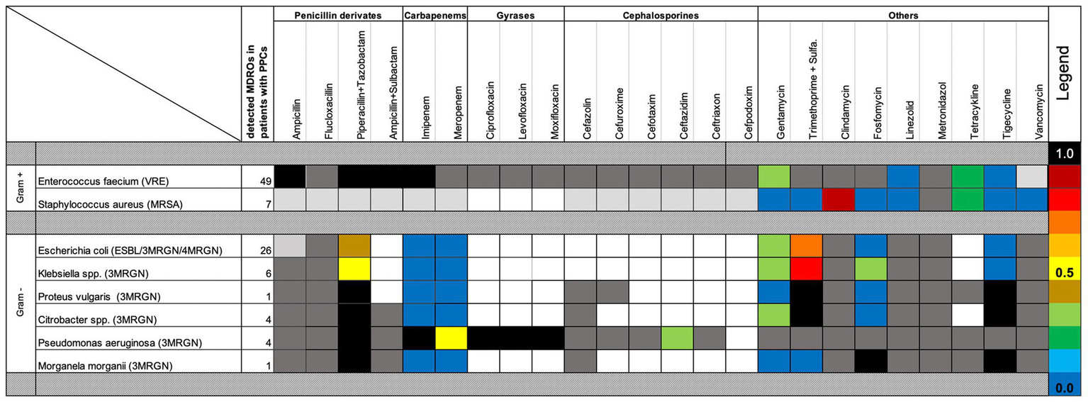 Chart displaying antibiotic resistance among different bacterial species. Rows represent bacteria: Enterococcus faecium, Staphylococcus aureus, Escherichia coli, and others. Columns show antibiotics: penicillins, carbapenems, gyrases, and cephalosporins. Color-coded cells indicate resistance levels, with a legend on the right. Gram-positive and Gram-negative bacteria are separated, highlighting detected multidrug-resistant organisms in patients with pulmonary complications.