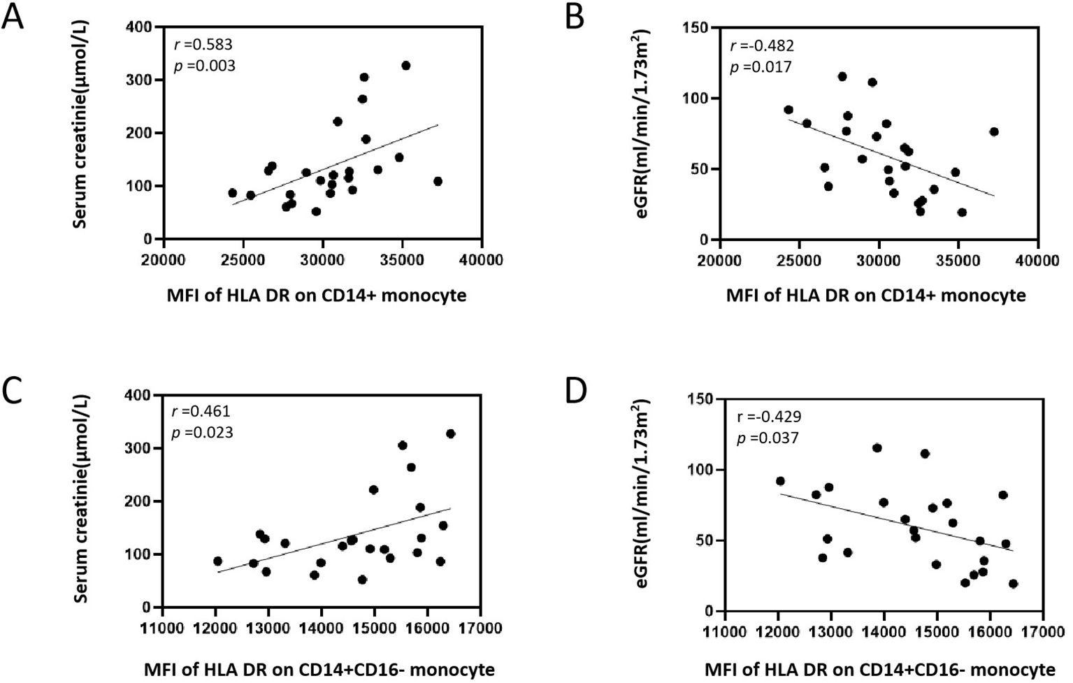 Four scatter plots labeled A, B, C, and D. Plot A shows a positive correlation between serum creatinine and MFI of HLA DR on CD14+ monocytes (r = 0.583, p = 0.003). Plot B shows a negative correlation between eGFR and MFI of HLA DR on CD14+ monocytes (r = -0.482, p = 0.017). Plot C shows a positive correlation between serum creatinine and MFI of HLA DR on CD14+CD16- monocytes (r = 0.461, p = 0.023). Plot D shows a negative correlation between eGFR and MFI of HLA DR on CD14+CD16- monocytes (r = -0.429, p = 0.037).