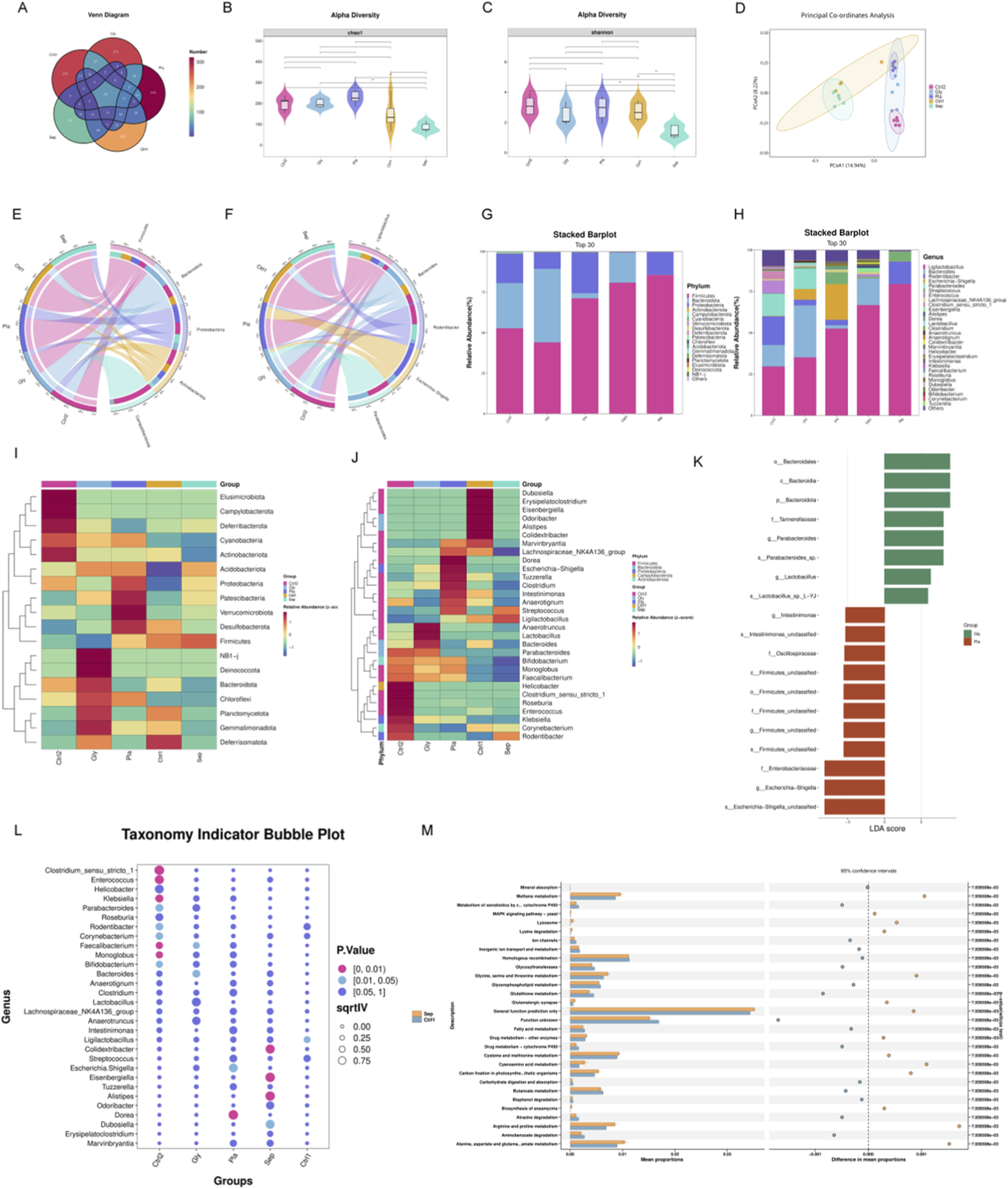 Composite image featuring multiple panels of scientific visualizations. Panel A shows a Venn diagram with color-coded data. Panels B and C display alpha diversity violin plots with different groups and boxplots. Panel D presents a principal coordinates analysis plot with distinct clusters. Panels E and F feature circular chord diagrams illustrating data flows. Panels G and H are stacked bar plots showing relative abundances. Panels I and J display heatmaps with hierarchical clustering. Panel K shows a horizontal bar chart with LDA scores. Panel L is a taxonomy indicator bubble plot, and Panel M presents a bar chart with mean differences and confidence intervals.