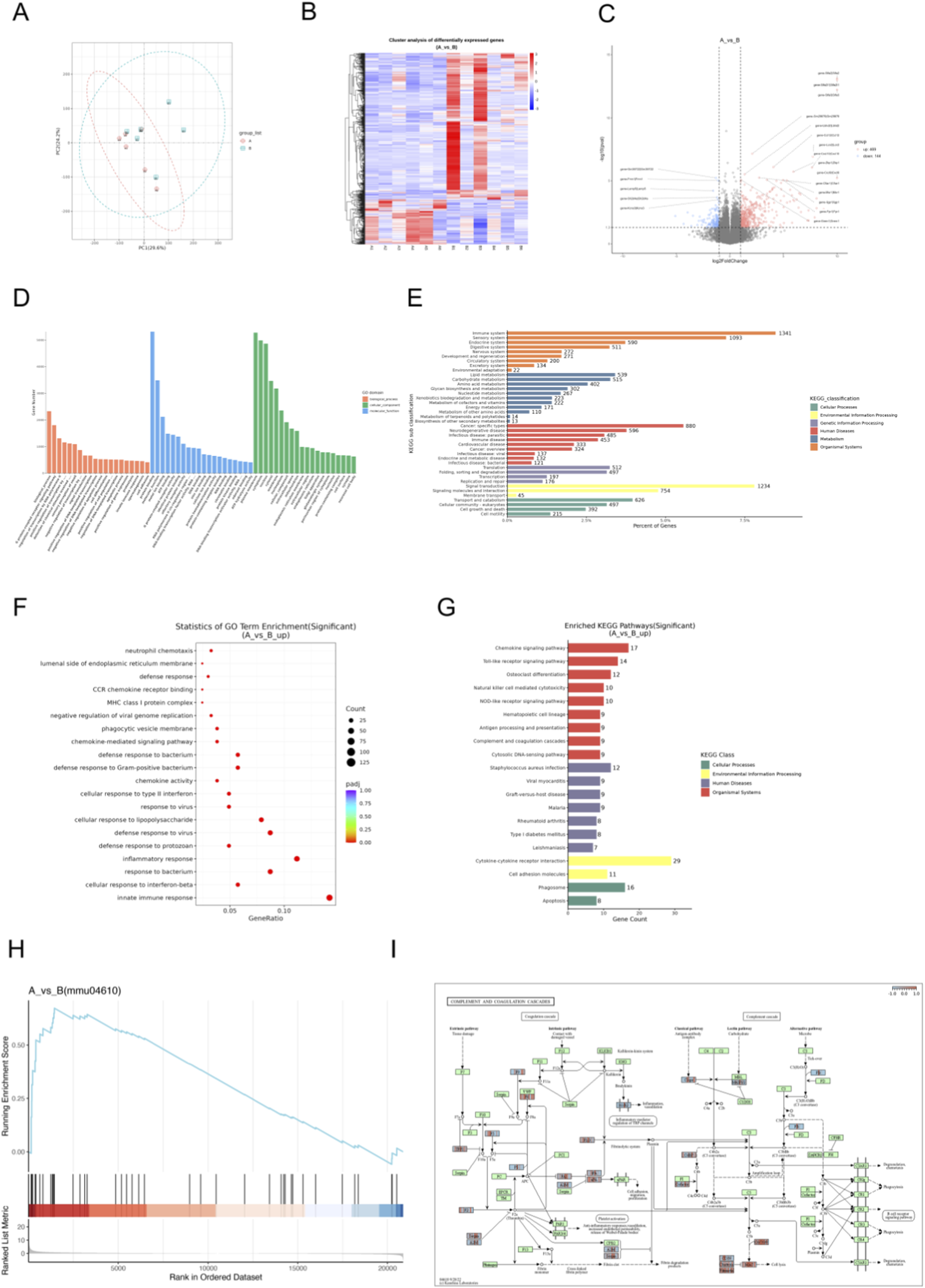 A set of nine panels depicting various genomic and bioinformatics analyses. Panel A shows a PCA plot with two groups. Panel B presents a heatmap of differentially expressed genes. Panel C is a volcano plot of gene expression changes. Panel D displays a bar chart of enriched GO terms categorized by function. Panel E shows KEGG pathway enrichment analysis with a horizontal bar chart. Panel F is a dot plot of significant GO term enrichment. Panel G illustrates enriched KEGG pathways with a bar chart. Panel H presents a gene set enrichment analysis plot. Panel I is a detailed pathway map from KEGG.