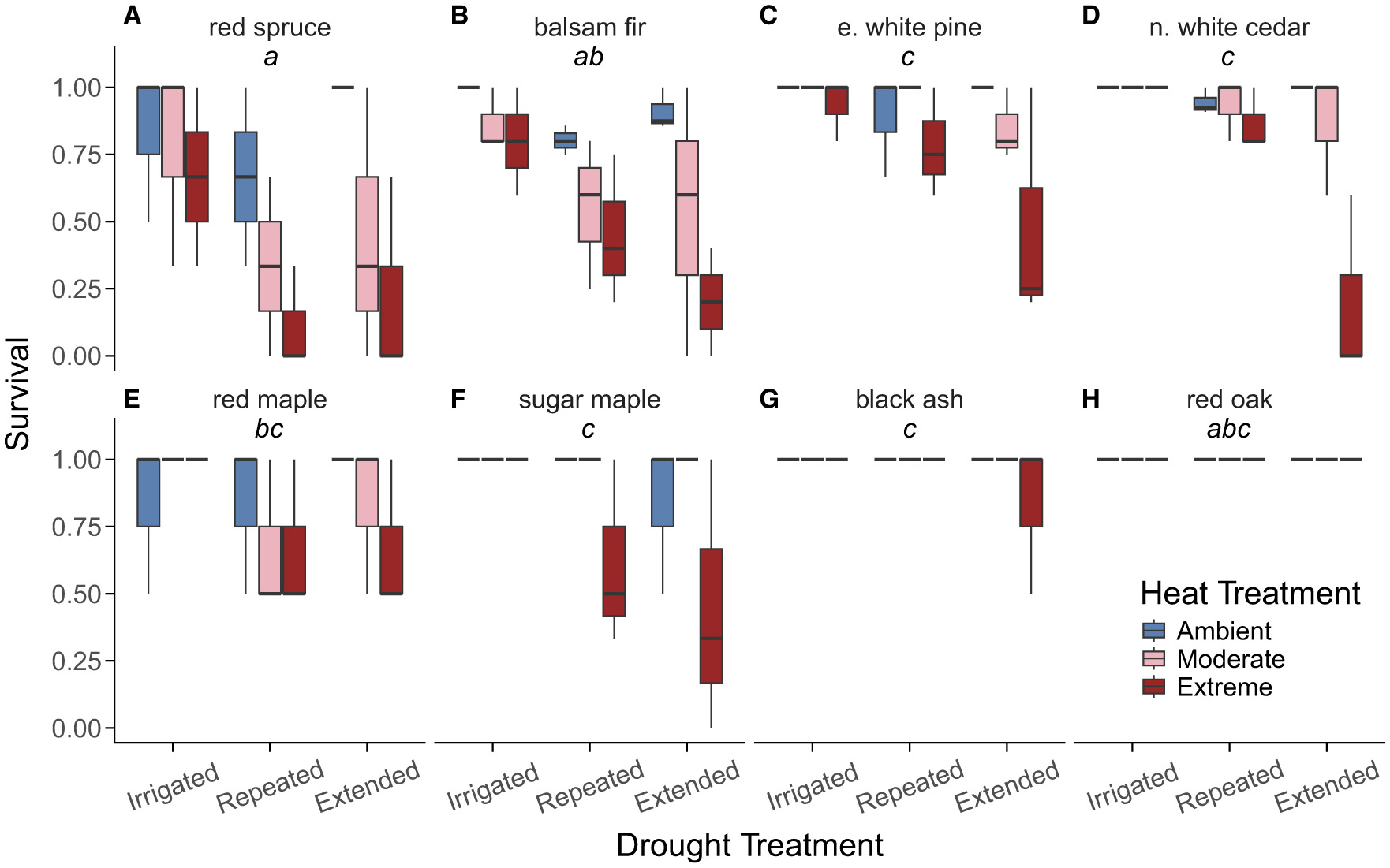 Box plot chart depicting the survival rates of eight tree species (A to H) under different drought and heat treatments. Treatments include irrigated, repeated, and extended droughts, with ambient, moderate, and extreme heat. Species include red spruce, balsam fir, white pine, white cedar, red maple, sugar maple, black ash, and red oak. Survival varies significantly across conditions. The legend indicates heat treatment levels with colors: blue for ambient, pink for moderate, and red for extreme. Survival rates decrease overall with increased drought and heat stress.