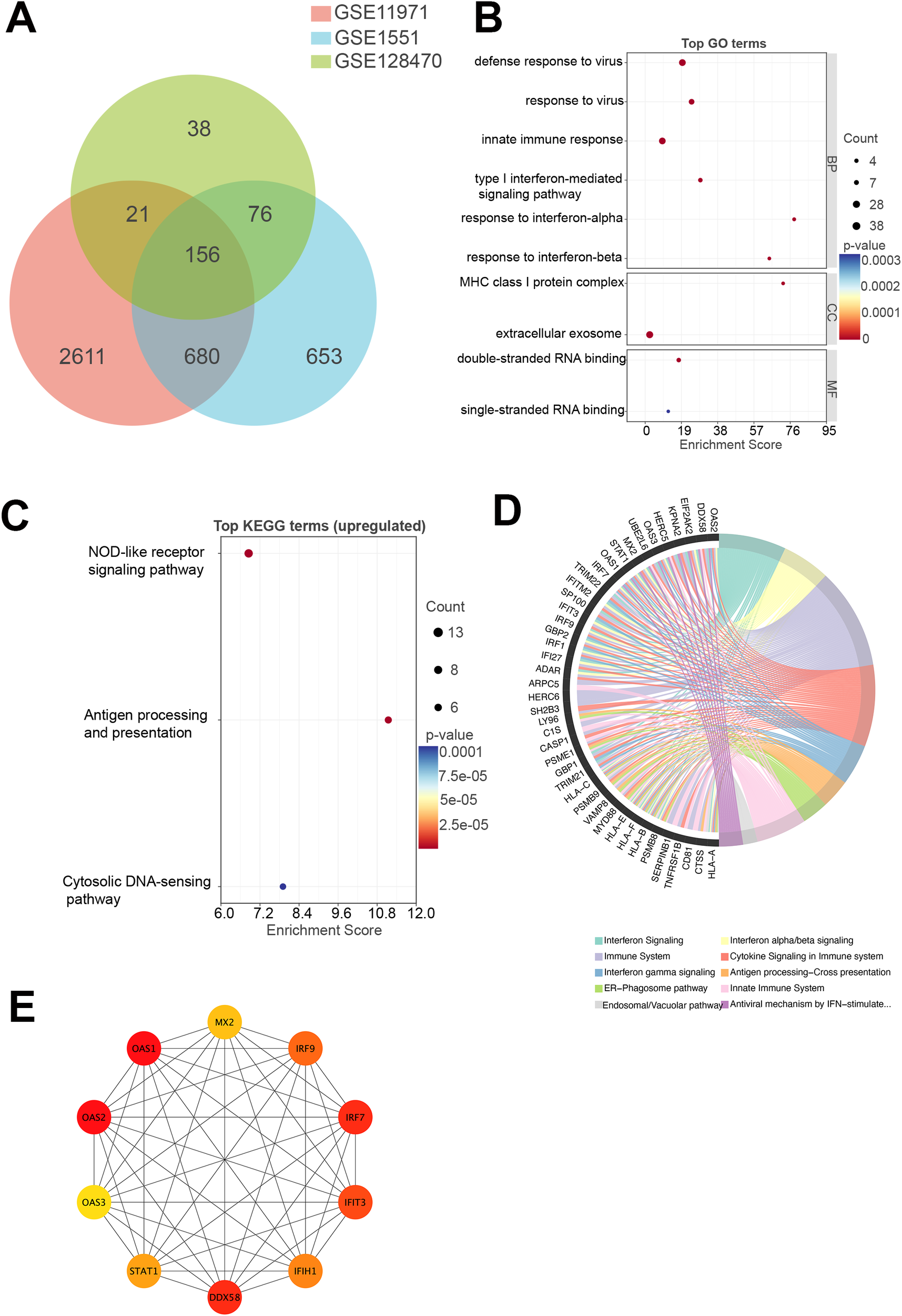 A scientific figure with multiple panels. Panel A is a Venn diagram showing overlap among three datasets: GSE11971, GSE1551, and GSE128470. Panel B is a dot plot depicting top gene ontology terms with enrichment scores, counts, and p-values. Panel C is a KEGG pathway enrichment analysis for upregulated terms, detailing pathways with varying scores and p-values. Panel D is a chord diagram mapping interactions among various gene categories and pathways. Panel E is a network diagram illustrating interactions between specific genes, marked by nodes with color intensity indicating interaction strength.