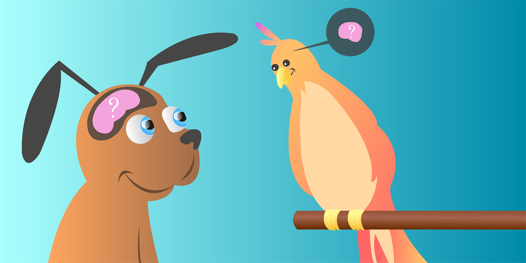 What Are Different Brains Made Of? · Frontiers for Young Minds What Are Different Brains Made Of? · Frontiers for Young Minds