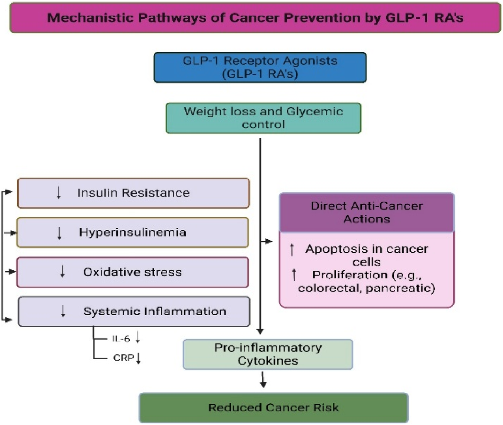 Flowchart illustrating mechanistic pathways of cancer prevention by GLP-1 receptor agonists, highlighting weight loss, glycemic control, reduced insulin resistance, hyperinsulinemia, oxidative stress, systemic inflammation, direct anti-cancer actions, decreased pro-inflammatory cytokines, and ultimately reduced cancer risk.