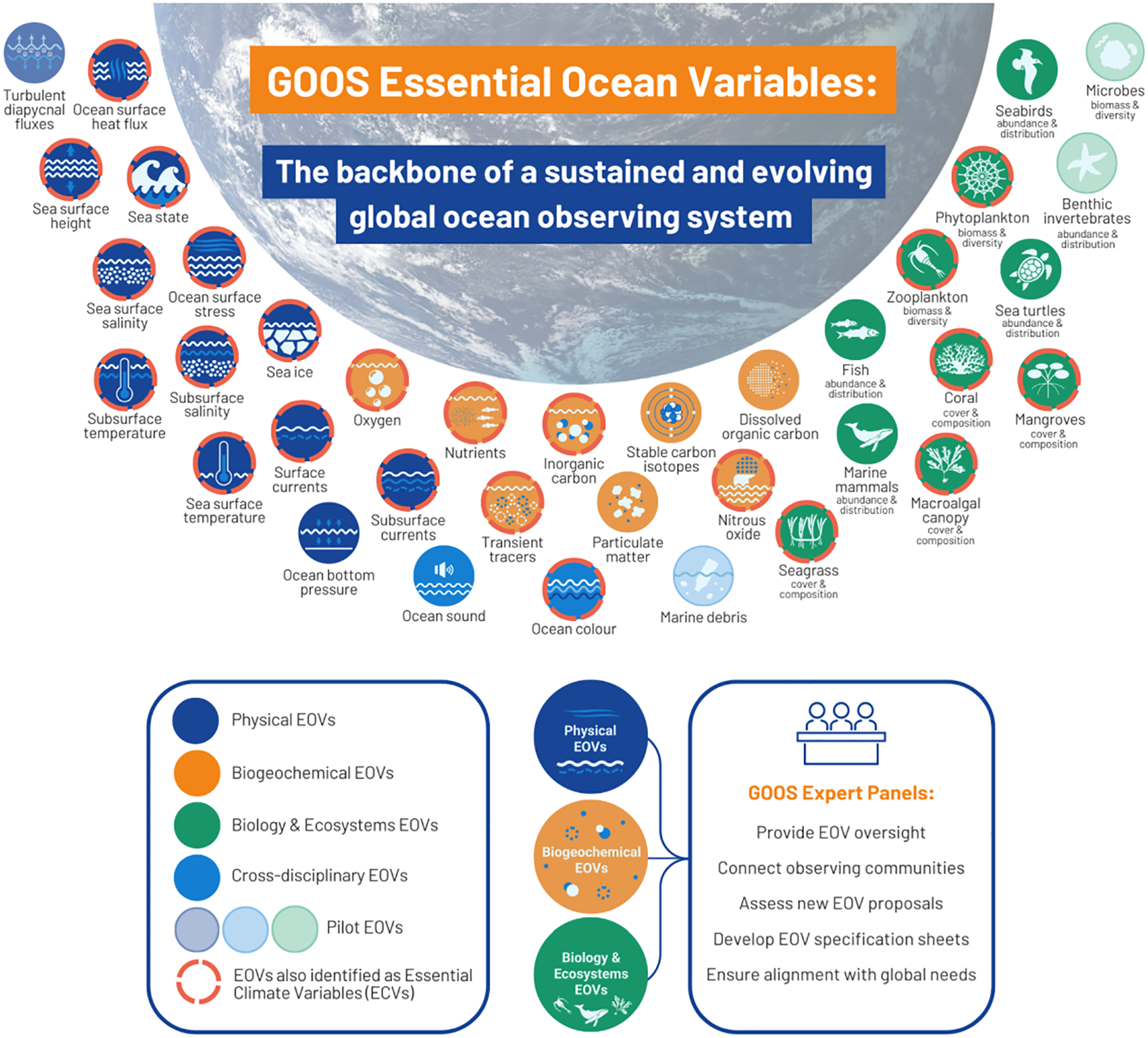 GOOS Essential Ocean Variables infographic shows categories like Physical, Biogeochemical, Biology & Ecosystems, and Cross-disciplinary EOVs using symbols. It emphasizes overseeing, enhancing proposals, and aligning with global needs.