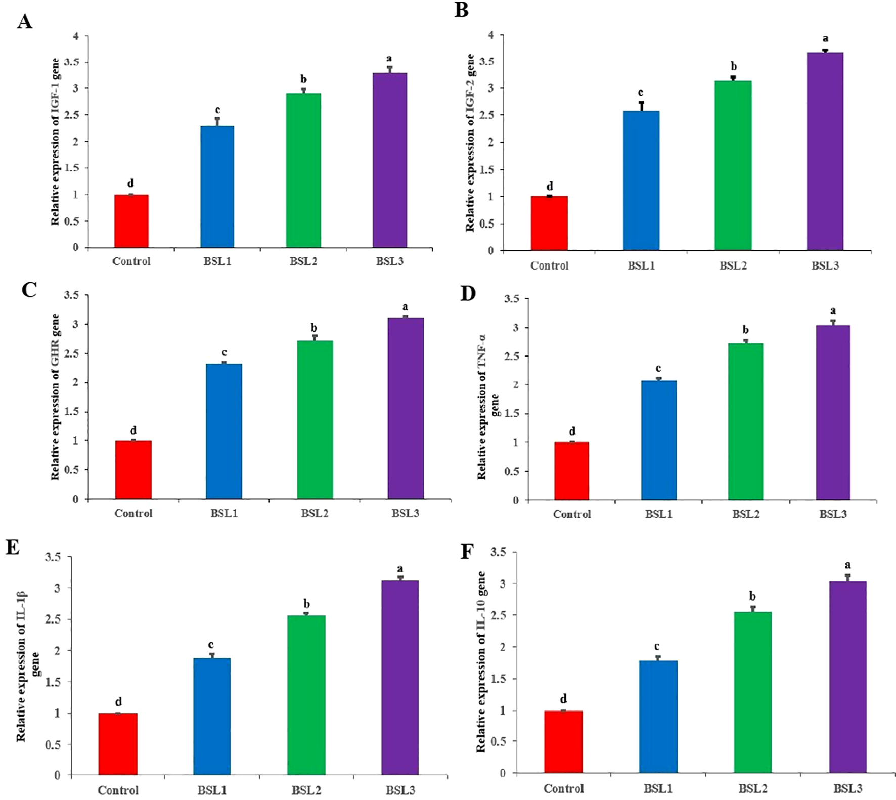 Bar graphs labeled A to F show the relative gene expression of IGF-1, IGF-2, GHR, TNF-α, IL-1β, and IL-10. Each graph compares control, BSL1, BSL2, and BSL3 groups. Expression consistently increases across BSL1 to BSL3, with BSL3 showing the highest expression. Different letters above bars denote significant differences.