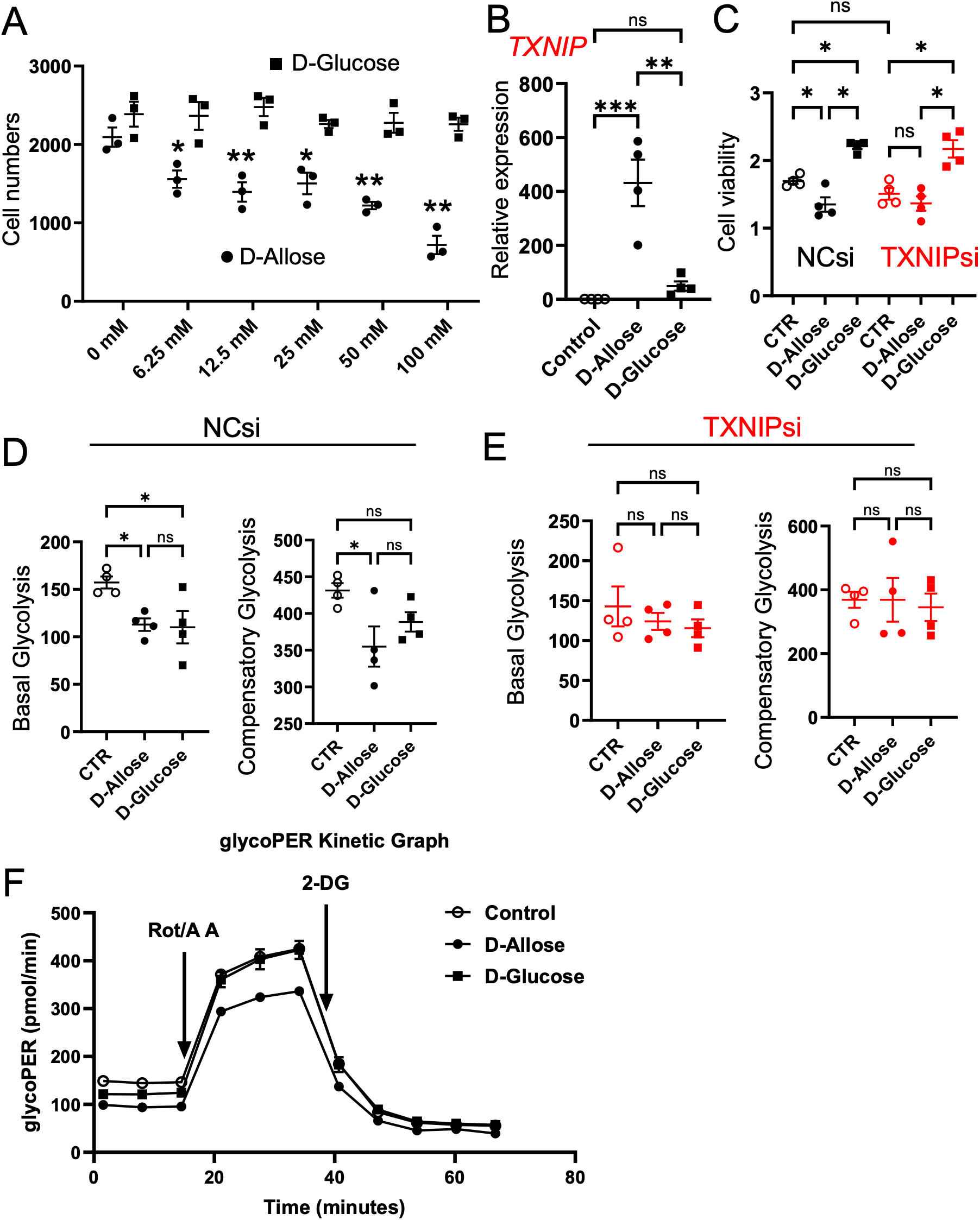 Six-panel scientific figure presenting cell growth, gene expression, cell viability, glycolysis, and kinetic assay data with various glucose or allose treatments and TXNIP silencing. Graphs display means with error bars, significance markers, and indicate D-Glucose, D-Allose, and control groups, as well as NCsi and TXNIPsi conditions. Panel F shows a glycoPER kinetic graph with treatment points marked by arrows for Rot/A A and 2-DG.
