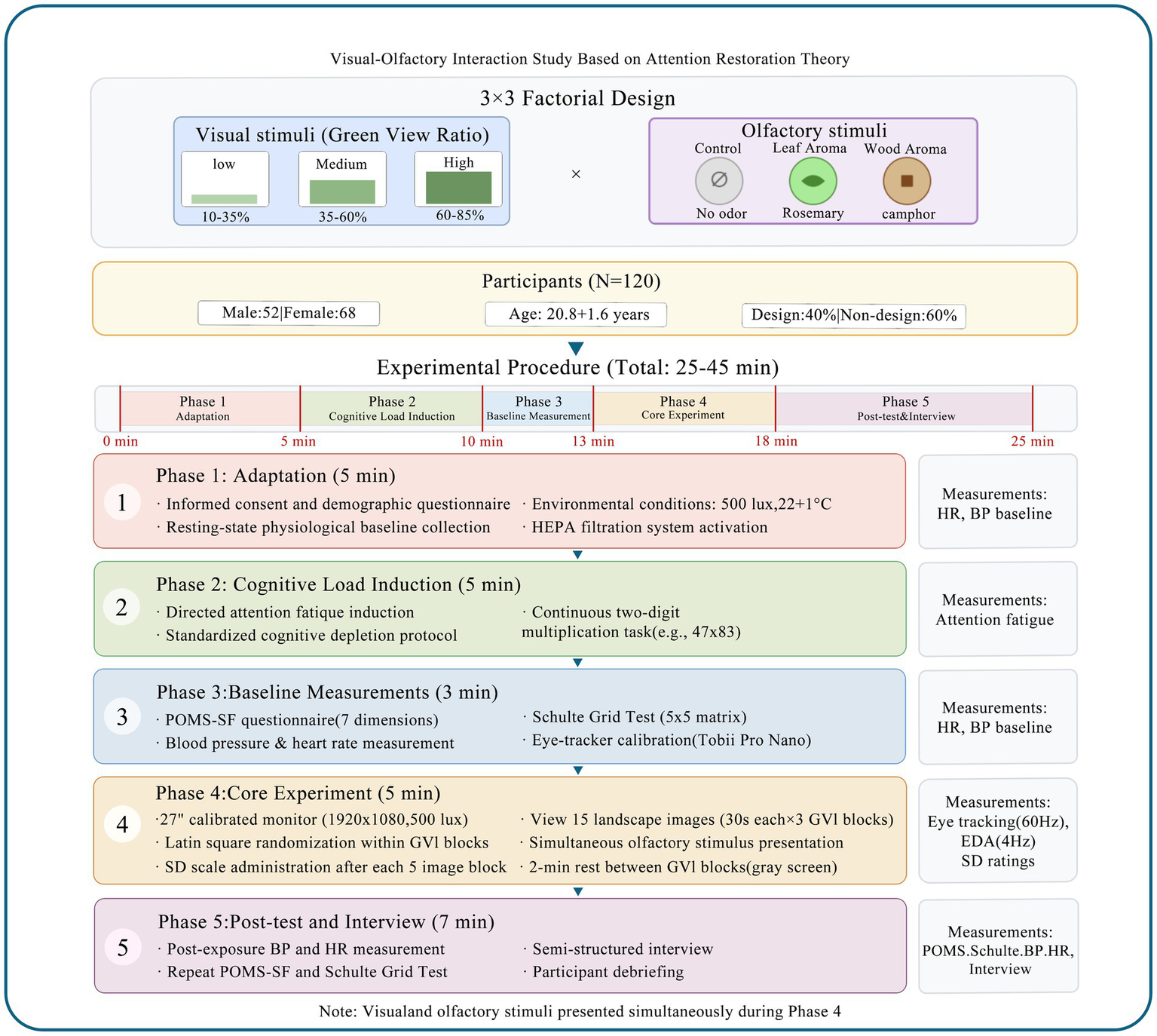 Flowchart displaying a visual-olfactory interaction study based on attention restoration theory. The 3x3 factorial design includes visual stimuli with varying green view ratios and olfactory stimuli including leaf and wood aromas. Participants numbered 120, aged approximately 20.8 years. The experimental procedure spans 25-45 minutes, divided into five phases: adaptation, cognitive load induction, baseline measurements, core experiment, and post-test interview. Measurements include heart rate, blood pressure, and attention fatigue. Data collection involves questionnaires, environmental control, and cognitive tasks. Visual stimuli and olfactory stimuli presented simultaneously during Phase 4.