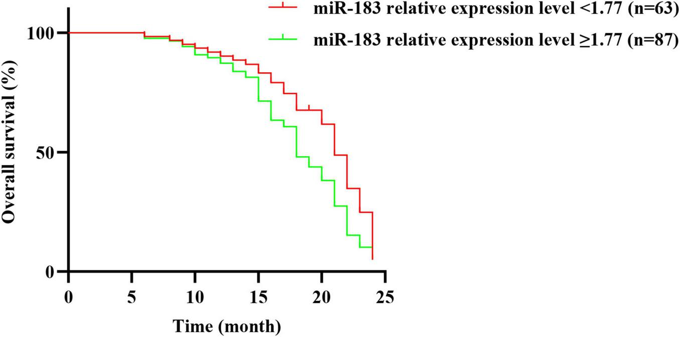 Kaplan-Meier survival curve showing overall survival percentages over 25 months for two groups based on miR-183 expression levels. The red line represents levels less than 1.77 (n=63), and the green line represents levels 1.77 or greater (n=87). Survival decreases over time for both groups.
