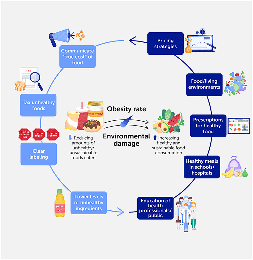 Circular flowchart illustrating strategies to reduce obesity and environmental damage through food policies. Key elements include communicating the true cost of food, taxing unhealthy foods, clear labeling, using fewer unhealthy ingredients, educating health professionals and the public, and promoting healthy meals and environments. Arrows show that these actions aim to reduce unhealthy food consumption and increase healthy, sustainable food consumption.