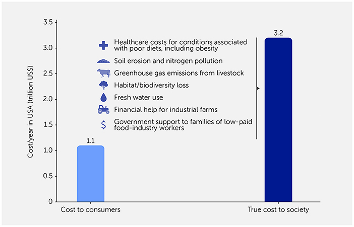 Bar chart comparing the annual cost of food to consumers versus the true cost to society in the USA. Consumer cost is 1.1 trillion USD, and societal cost is 3.2 trillion USD. Societal costs include healthcare, soil erosion, greenhouse emissions, habitat loss, water use, farm subsidies, and support for food-industry workers.