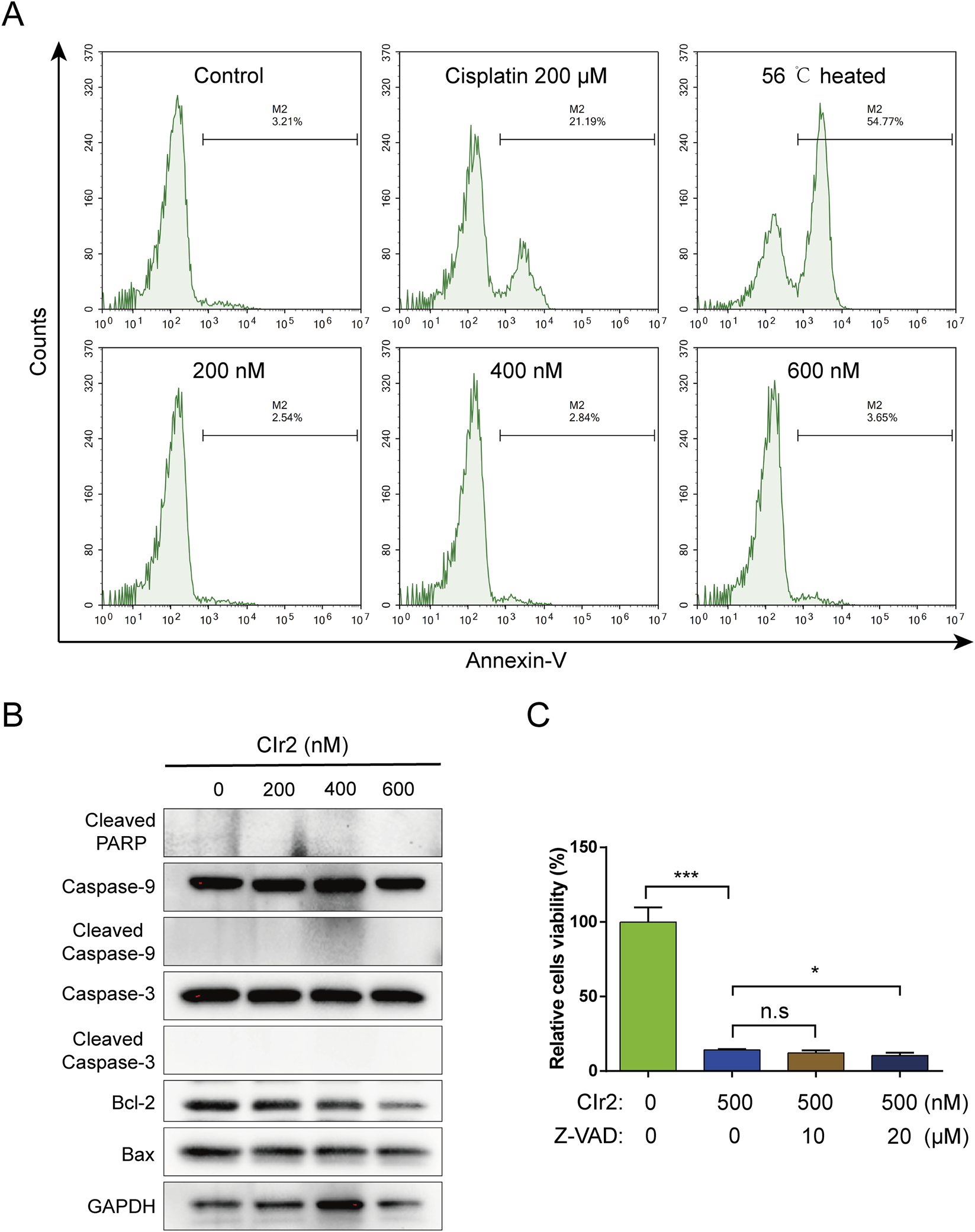 Flow cytometry and western blot analysis for cellular apoptosis. Panel A shows flow cytometry histograms for control, cisplatin-treated, heat-treated, and Clr2-treated samples, with M2 percentages ranging from 2.54% to 54.77%. Panel B presents a western blot for proteins including cleaved PARP, caspases, Bcl-2, and Bax under different Clr2 concentrations. Panel C is a bar graph showing relative cell viability with statistical significance indicated.