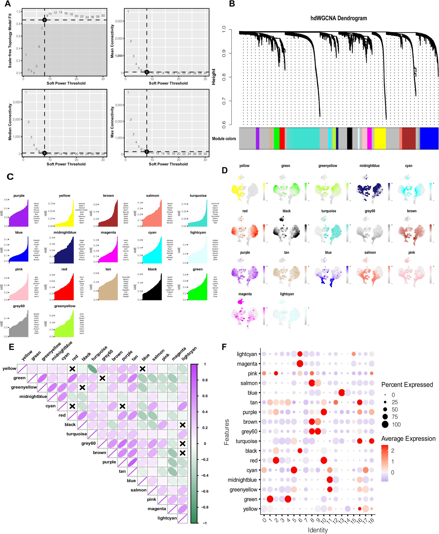 Panel A shows four line graphs analyzing soft power threshold selection for network analysis, with two plots focused on connectivity and one on scale-free topology fit; a dashed vertical line marks an optimal threshold. Panel B presents a dendrogram with horizontal module color bar indicating distinct gene co-expression modules. Panel C displays grouped color-coded bar charts summarizing gene module statistics or eigenvalues for multiple gene modules, each labeled by color. Panel D consists of multiple scatter plots or dimensionality reduction visualizations, each colored by module to depict cell clusters or features. Panel E shows a triangular matrix correlation heatmap comparing gene modules, with color intensity indicating correlation strength. Panel F contains a dot plot visualizing expression patterns across features and identities, where dot size and color denote percent expressed and average expression, respectively.