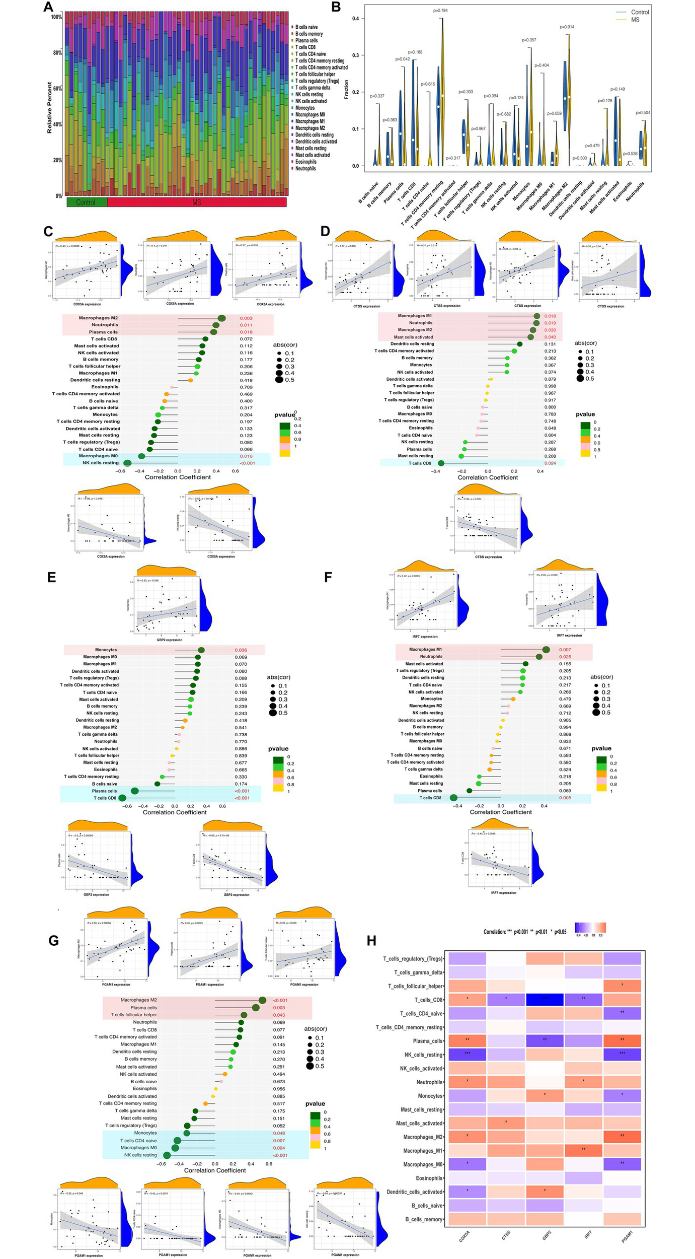 Panel A displays a stacked bar chart comparing immune cell proportions in control and MS groups. Panel B shows a violin plot of statistical differences in cell fractions. Panels C to G present correlation dot plots and scatterplots for specific gene expressions versus immune cell types, with effect size and significance indicated by color and size. Panel H features a heatmap of correlation coefficients for genes across immune cell types, with colors denoting correlation direction and significance.