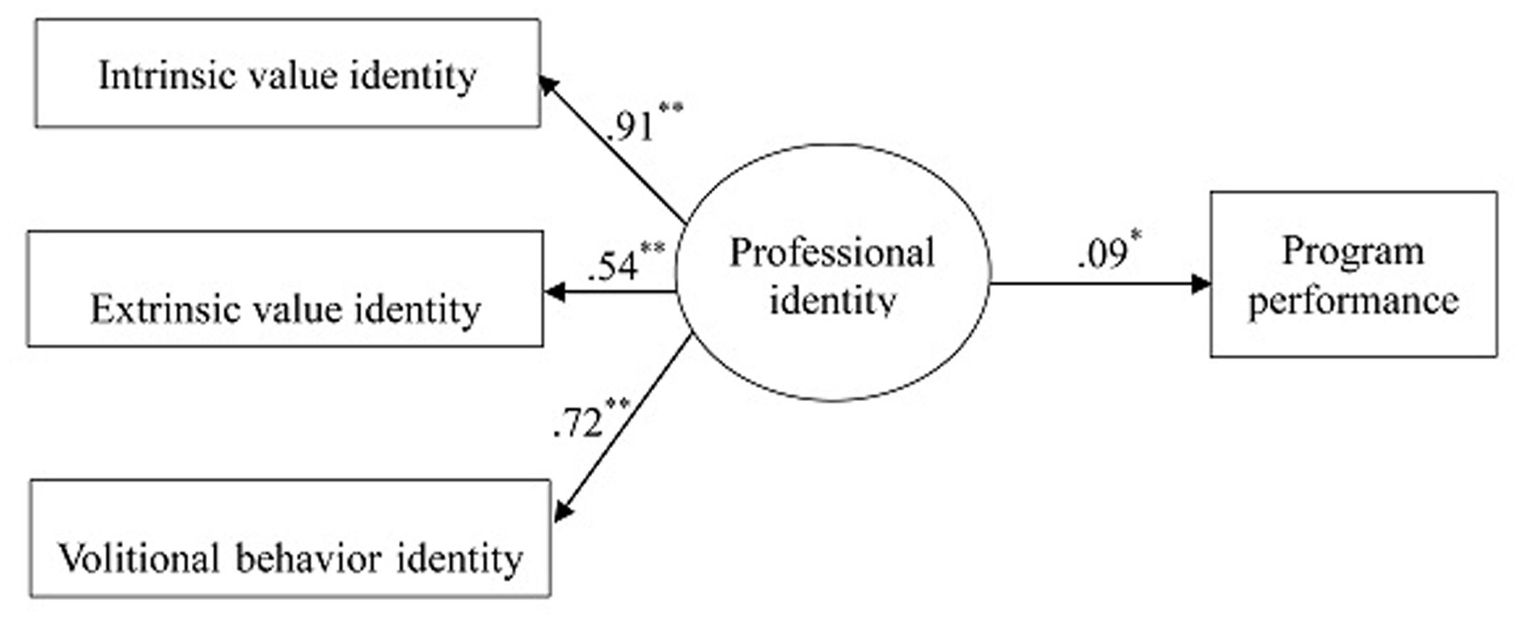 Professional Identity and Careers