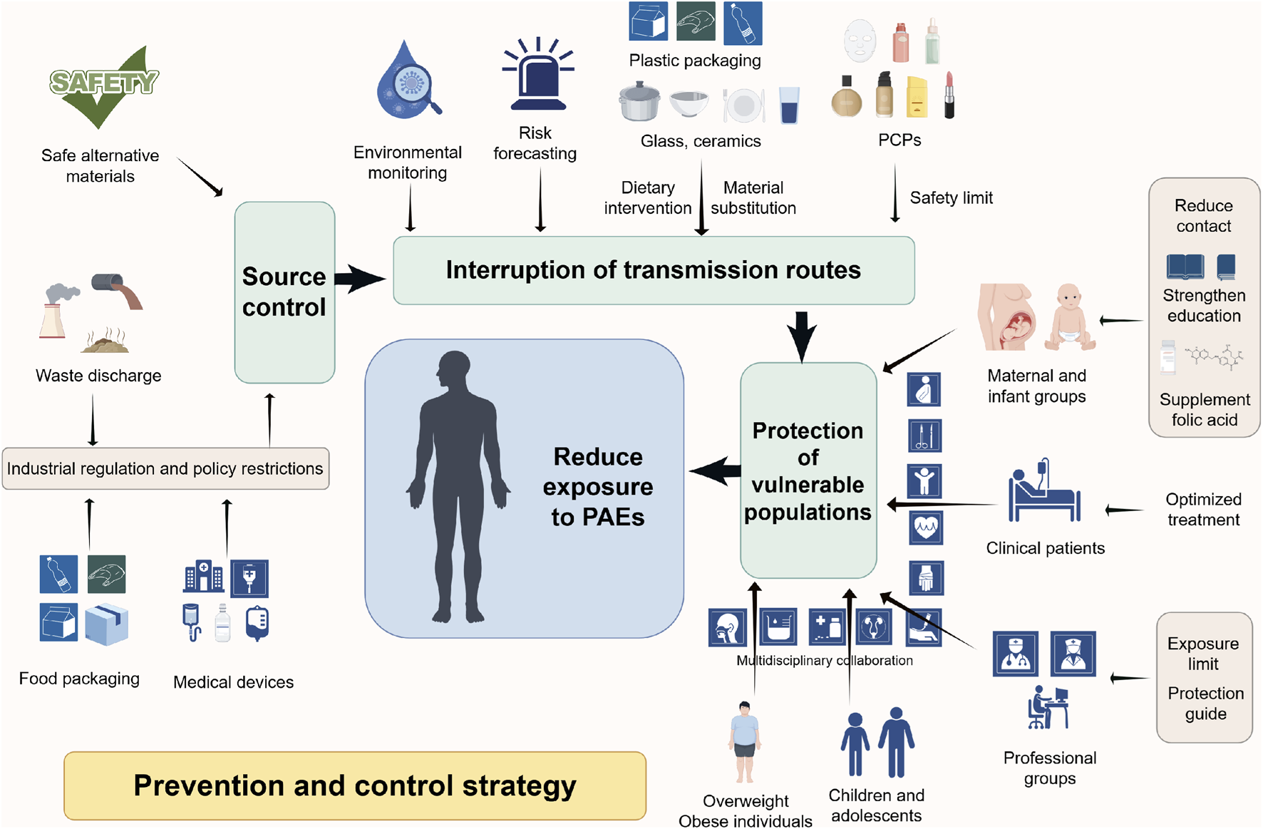 Flowchart illustrating a prevention and control strategy to reduce exposure to PAEs. It involves source control through safe materials and industrial regulations; interrupting transmission via monitoring, risk forecasting, and material substitution; and protecting vulnerable populations, including maternal, clinical, and professional groups. The strategy integrates safety limits, education, and optimized treatment measures.
