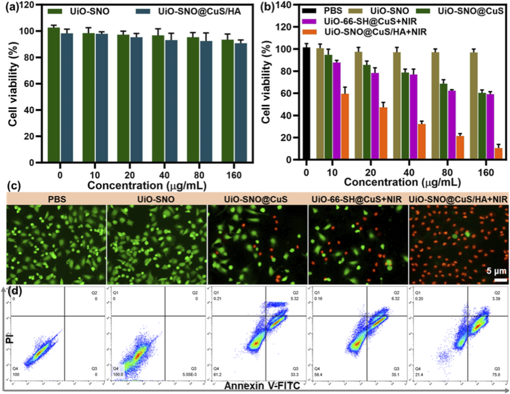 Bar graphs, fluorescence microscopy images, and scatter plots illustrate cell viability and apoptosis across different treatments. (a) and (b) show cell viability percentages versus concentrations for UiO-SNO and related compounds. (c) depicts fluorescence microscopy images of cells with different treatments. (d) shows scatter plots of Annexin V-FITC and PI staining, indicating apoptosis levels.