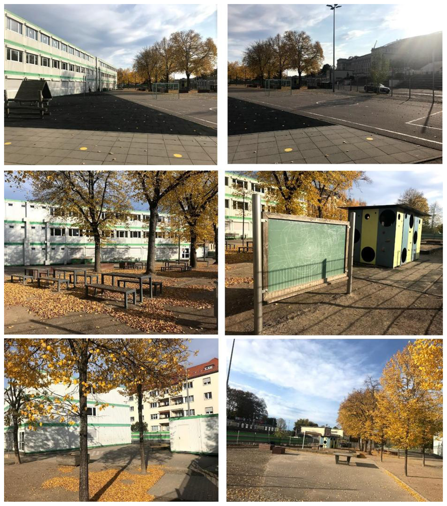 Collage of six outdoor images showcasing a park setting in autumn. Trees with yellow and orange leaves line pathways. A playground with wooden structures is visible. Some images show paved paths and green hedges, while others depict areas with leaf-strewn ground. A building appears in two of the pictures, partially obscured by trees.