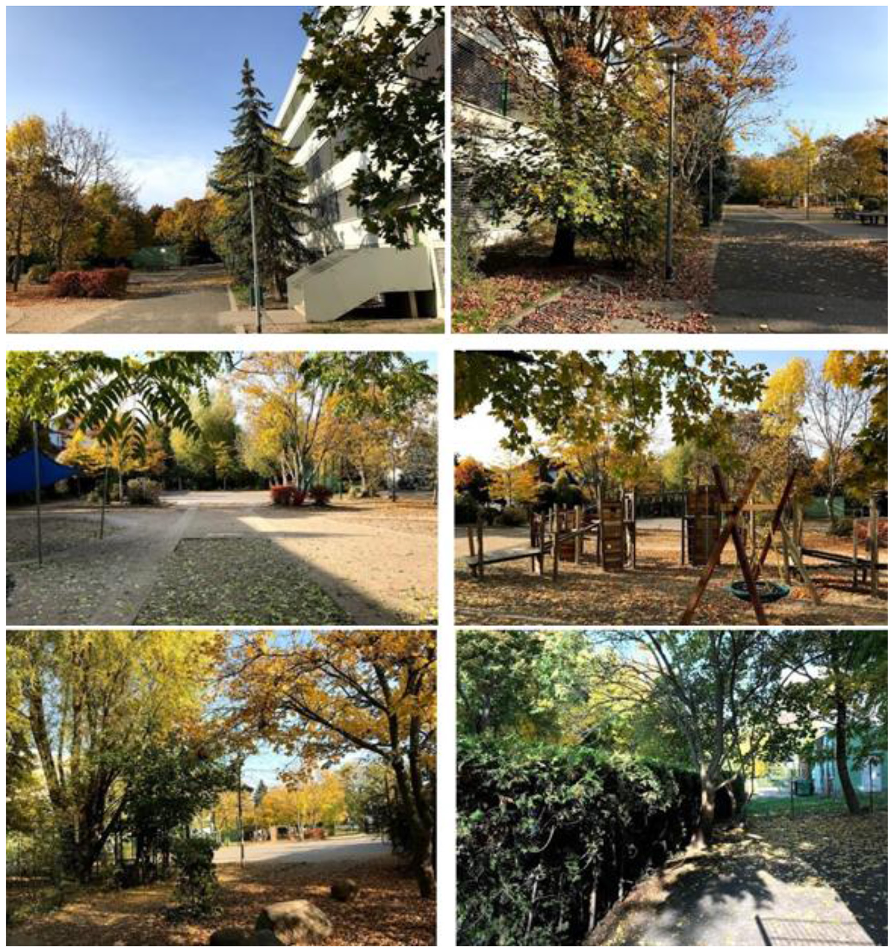 A series of five images depicting a park in autumn. The first image shows a path covered with fallen leaves and framed by bare branches. The second image features small wooden cabins surrounded by fallen leaves. The third image displays a grassy area with a wooden pole and a large tree nearby. The fourth image shows a large tree with colorful autumn foliage in an open area. The fifth image captures a broad view of the park with various trees and plants, with buildings visible in the background.