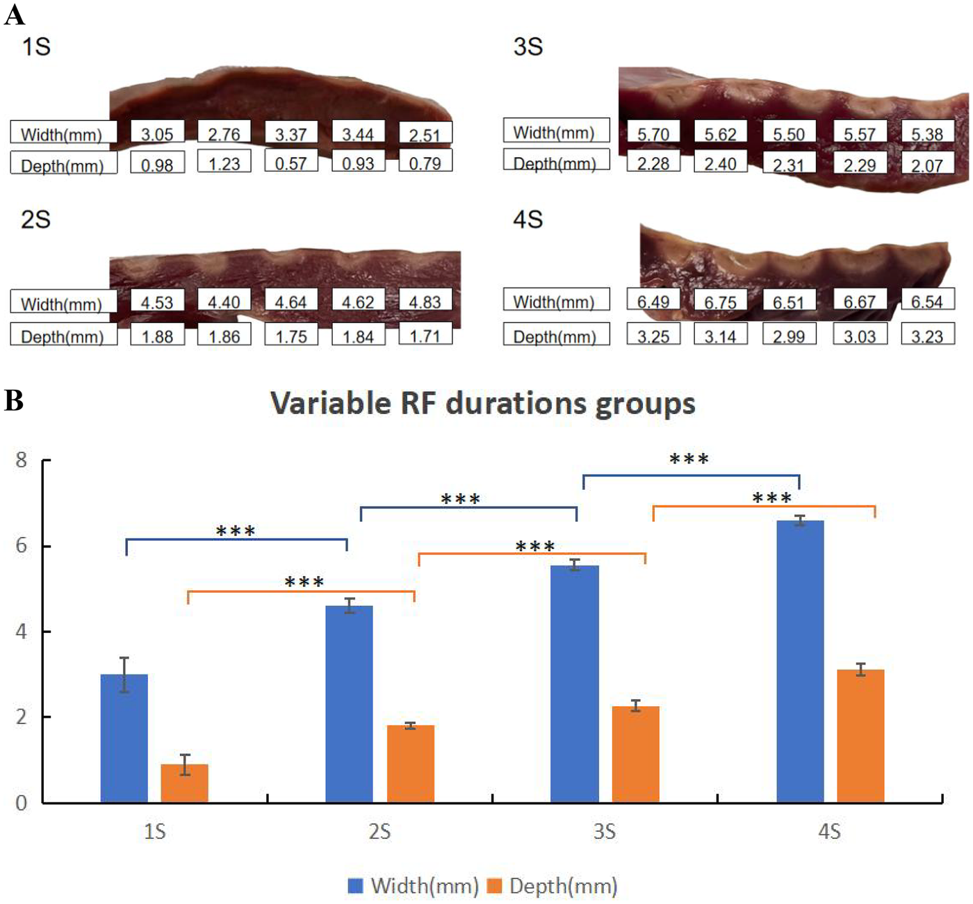 Image A shows four cuts of tissue labeled 1S, 2S, 3S, and 4S, with measurements for width and depth in millimeters. Image B is a bar chart showing width and depth of the tissue cuts from Image A for variable RF durations. Width values are higher than depth values, with significant differences indicated by asterisks.